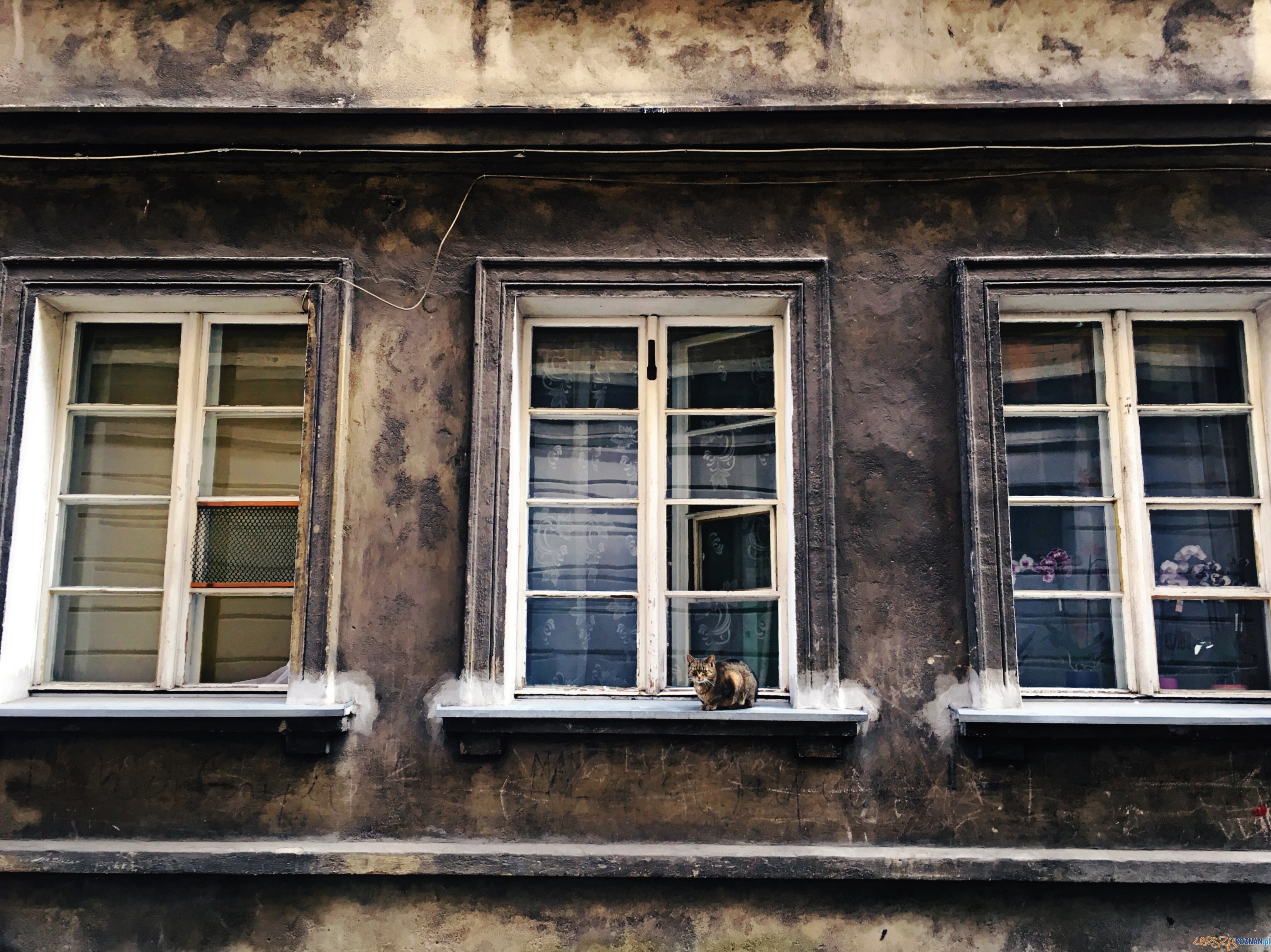 6-wyróżnienie-Zofia-Karafa-VIII-LO-im.-Adama-Mickiewicza(1) Foto: 6-wyróżnienie-Zofia-Karafa-VIII-LO-im.-Adama-Mickiewicza(1) Foto: