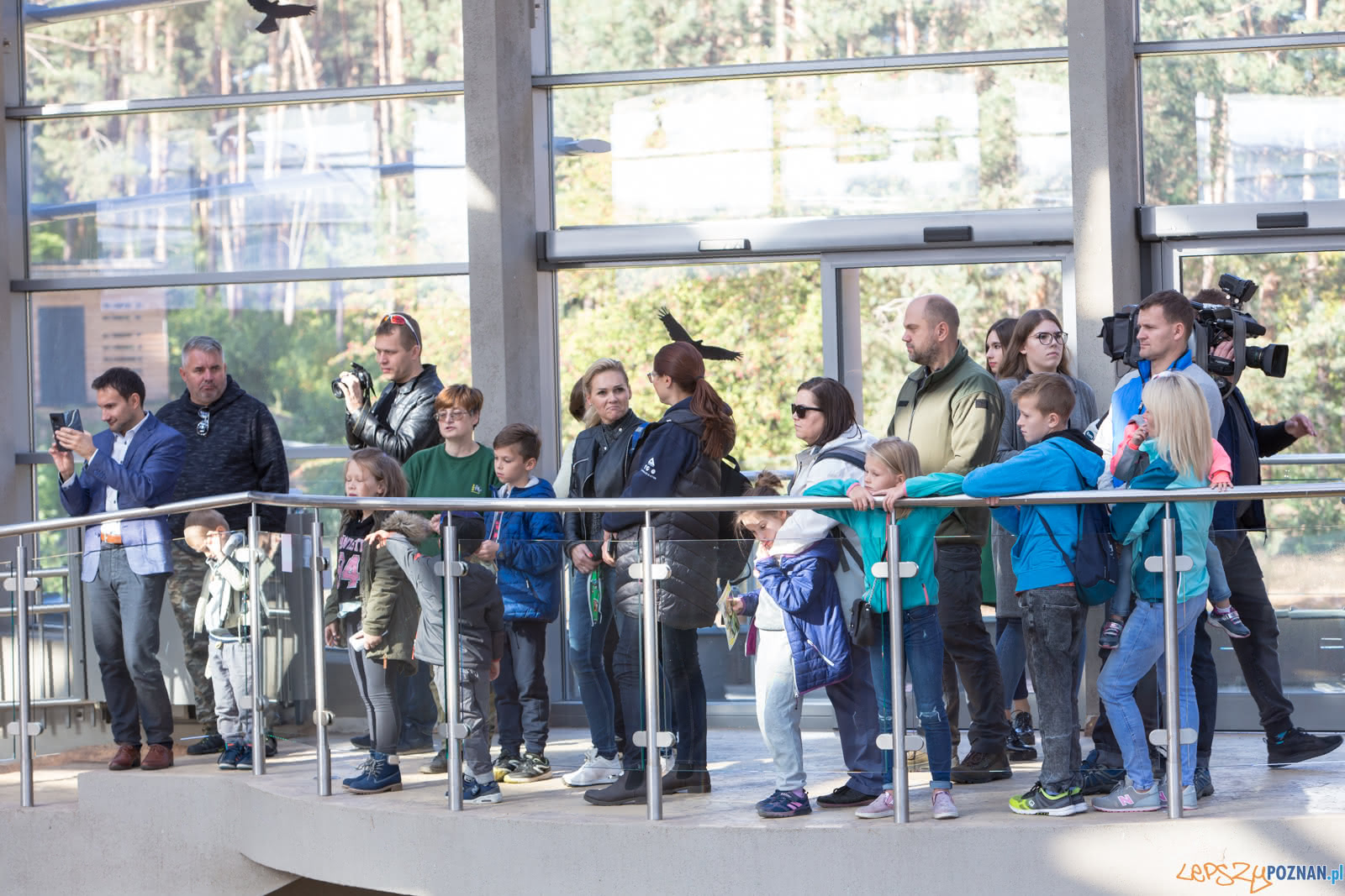 19. urodziny Słonia Ninio Foto: lepszyPOZNAN.pl/Piotr Rychter 19. urodziny Słonia Ninio Foto: lepszyPOZNAN.pl/Piotr Rychter