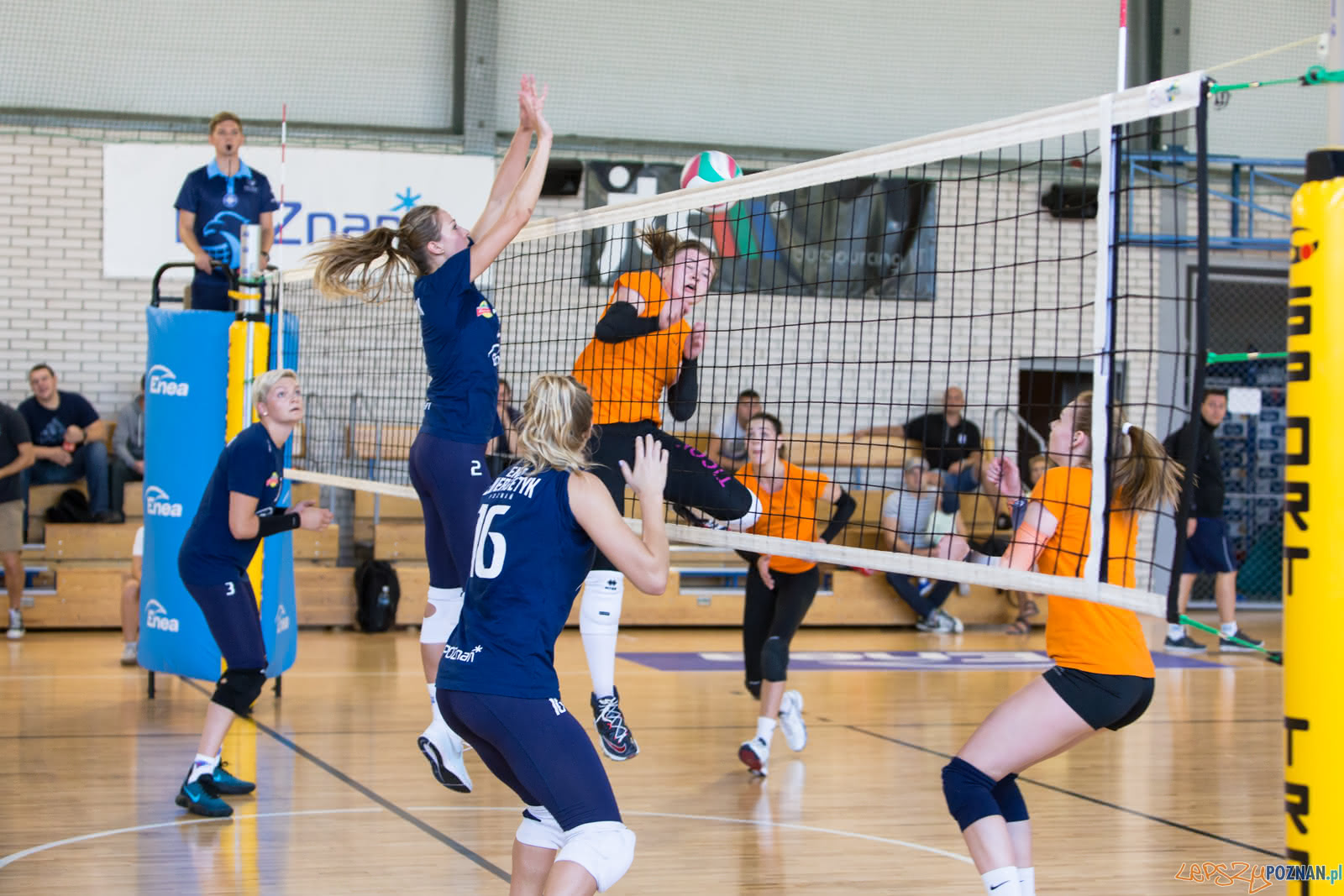 60-lat ENEA AZS Poznań - ENEA AZS Poznań - UNI Opole Foto: lepszyPOZNAN.pl/Piotr Rychter 60-lat ENEA AZS Poznań - ENEA AZS Poznań - UNI Opole Foto: lepszyPOZNAN.pl/Piotr Rychter