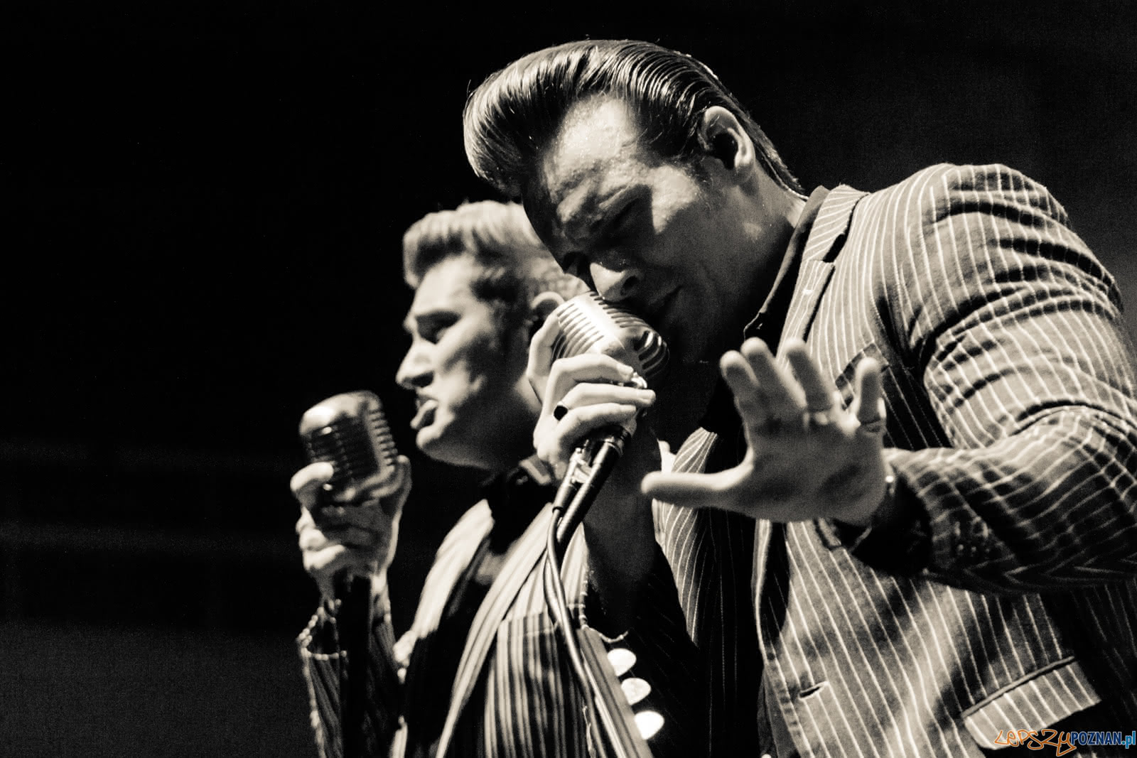 The Baseballs-3624 Foto: Ewelina Jaskowiak The Baseballs-3624 Foto: Ewelina Jaskowiak