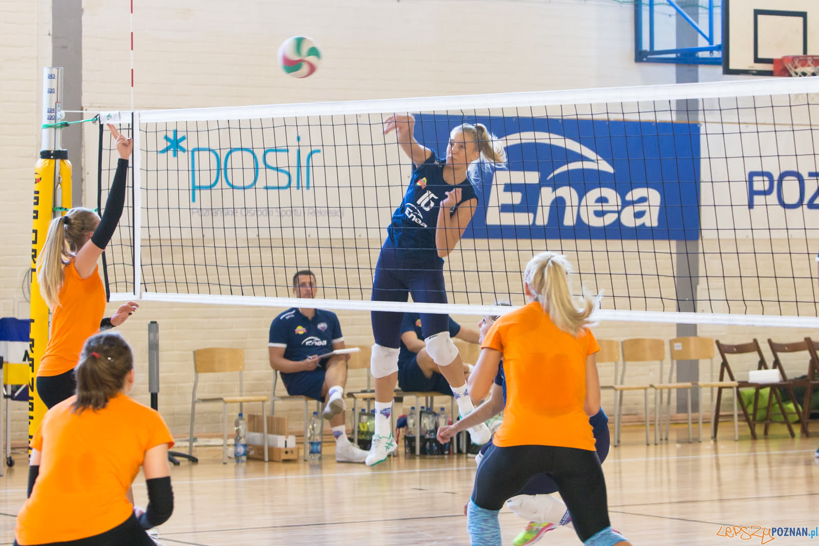 60-lat ENEA AZS Poznań - ENEA AZS Poznań - UNI Opole Foto: lepszyPOZNAN.pl/Piotr Rychter 60-lat ENEA AZS Poznań - ENEA AZS Poznań - UNI Opole Foto: lepszyPOZNAN.pl/Piotr Rychter