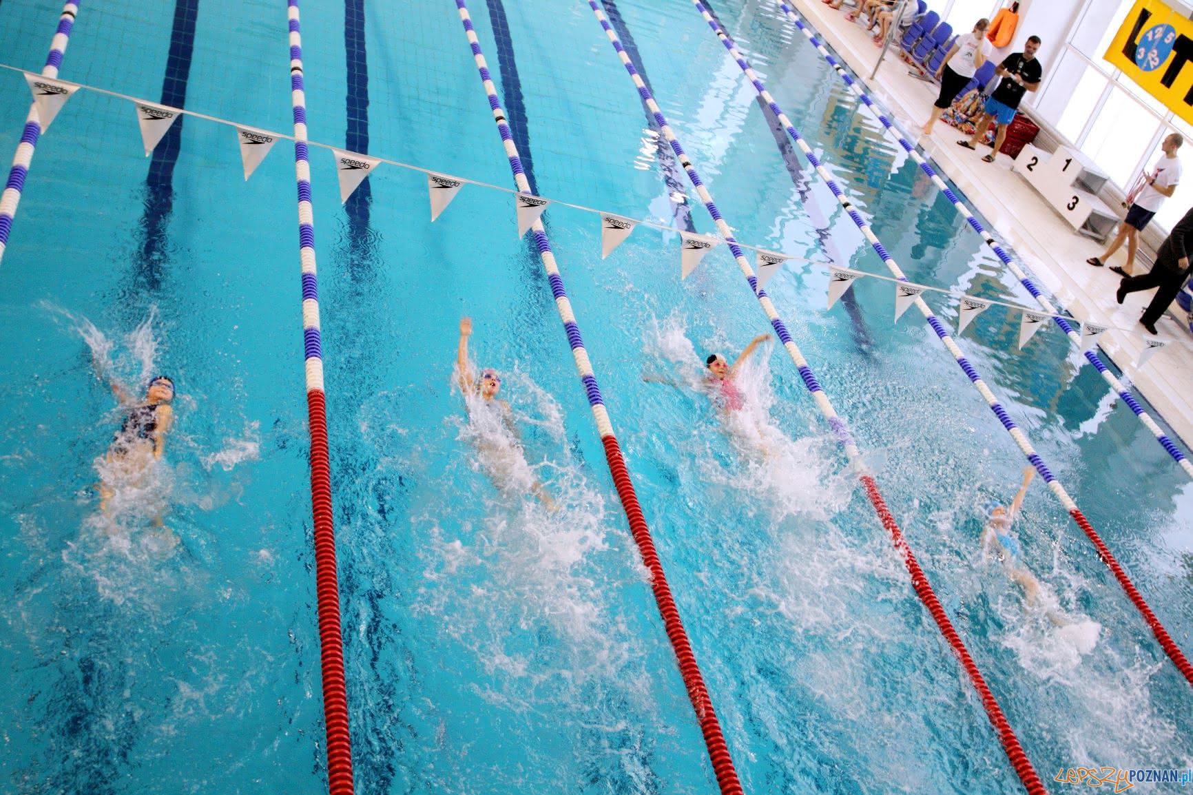 Chwiałka - pływalnia - basen Foto: POSiR Chwiałka - pływalnia - basen Foto: POSiR