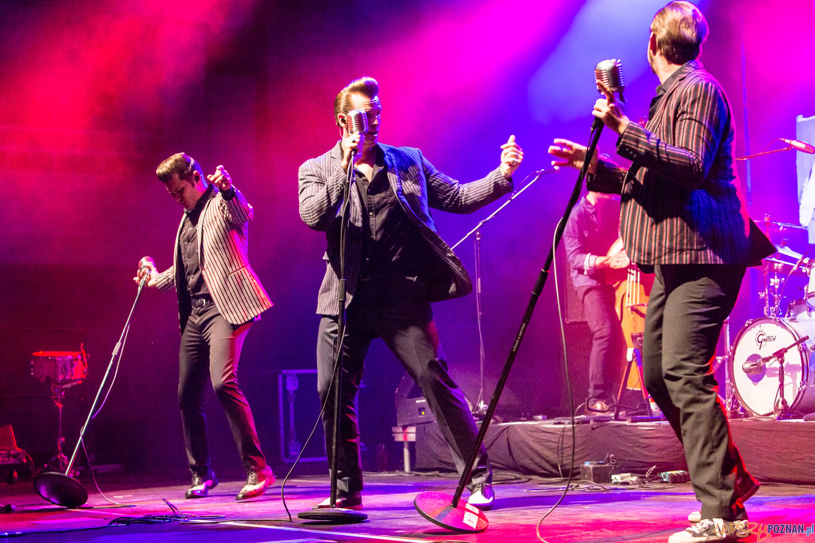 The Baseballs Foto: lepszyPOZNAN.pl/Piotr Rychter The Baseballs Foto: lepszyPOZNAN.pl/Piotr Rychter