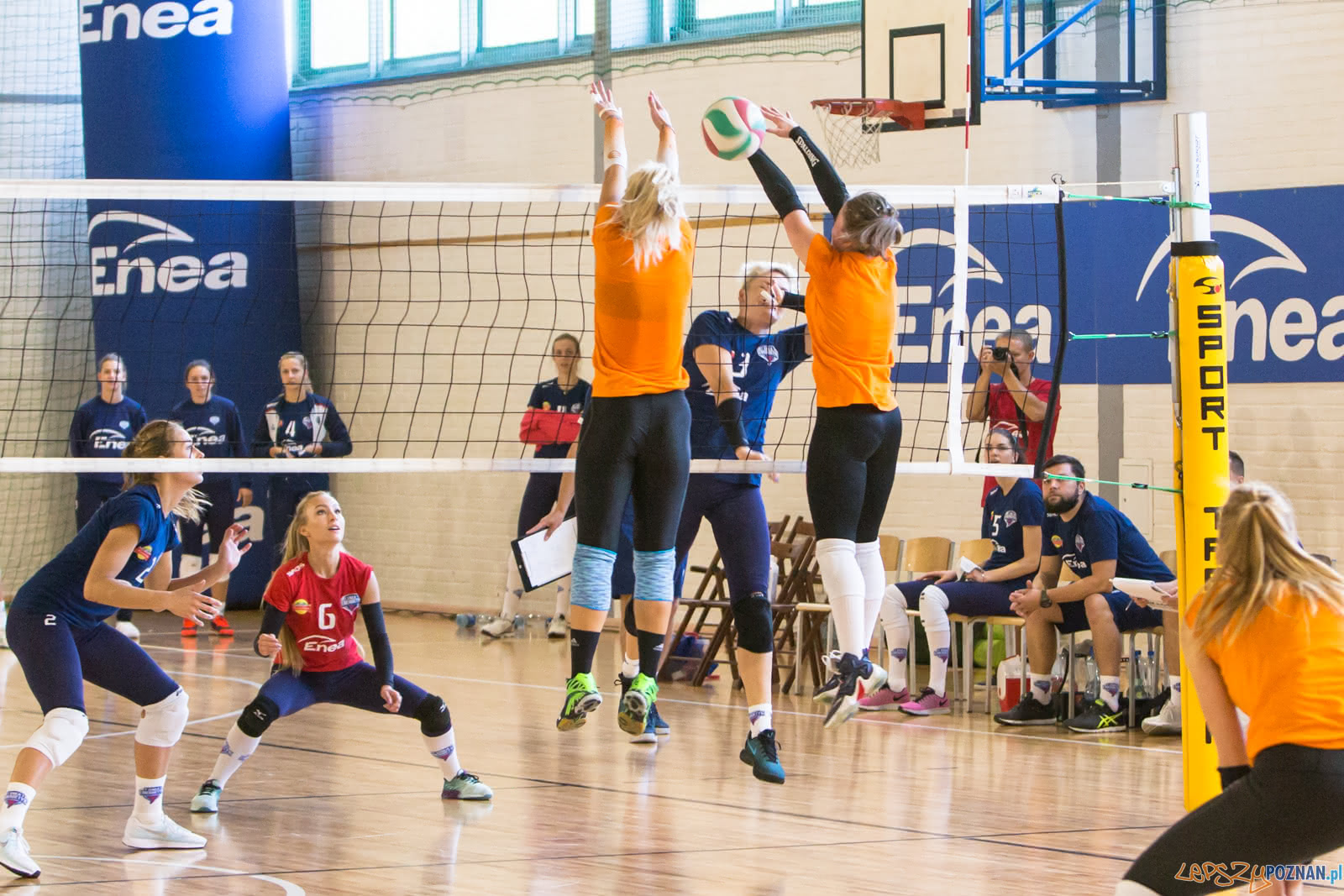 60-lat ENEA AZS Poznań - ENEA AZS Poznań - UNI Opole Foto: lepszyPOZNAN.pl/Piotr Rychter 60-lat ENEA AZS Poznań - ENEA AZS Poznań - UNI Opole Foto: lepszyPOZNAN.pl/Piotr Rychter