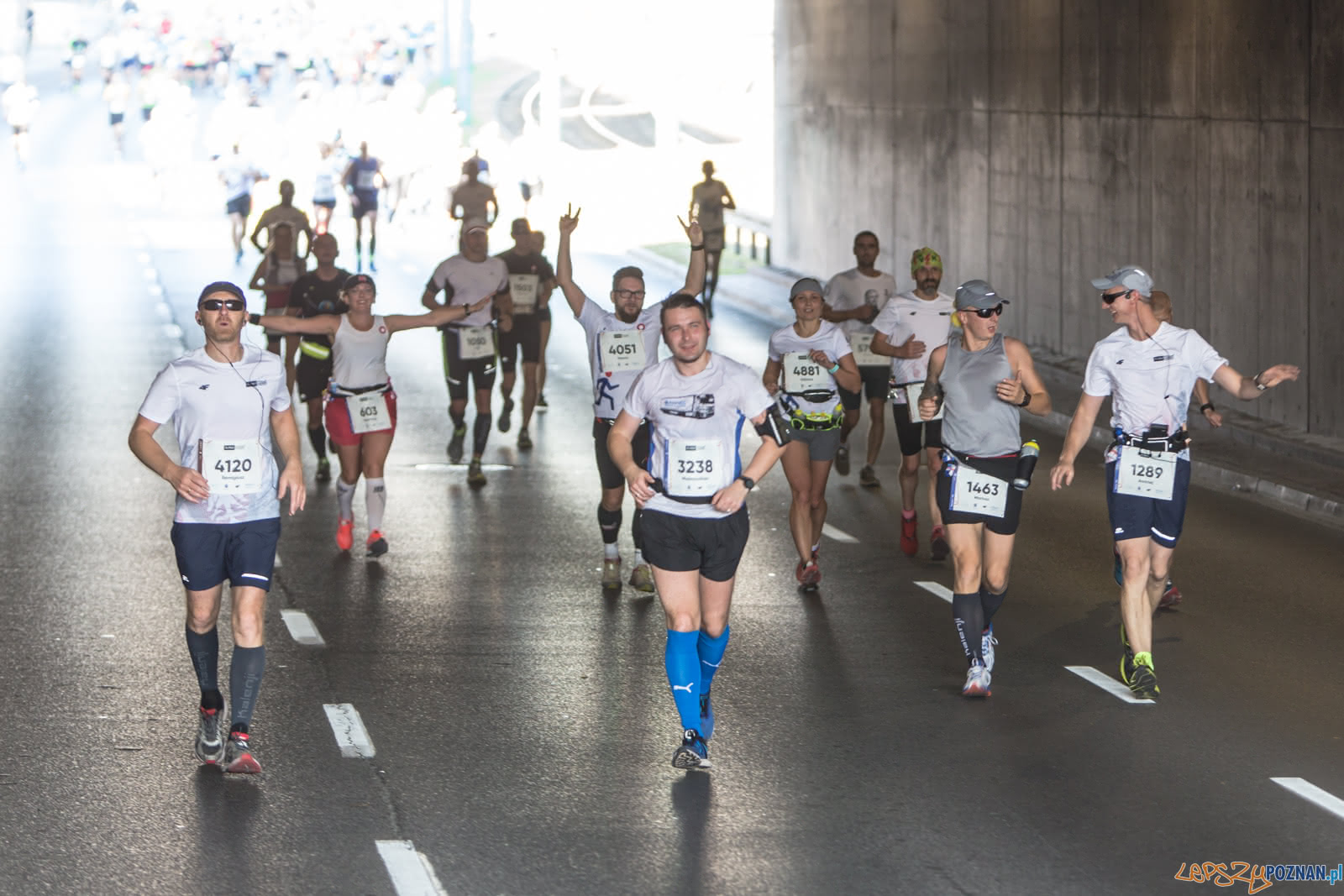19. PKO Poznań Maraton Foto: lepszyPOZNAN.pl/Piotr Rychter 19. PKO Poznań Maraton Foto: lepszyPOZNAN.pl/Piotr Rychter