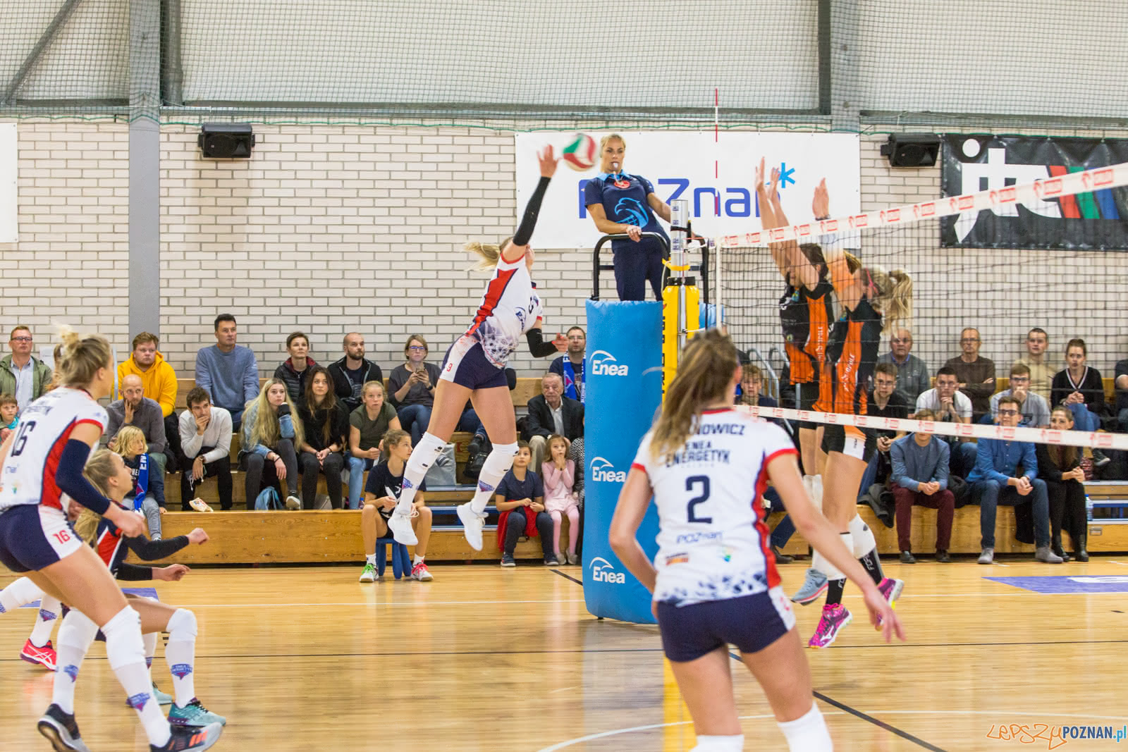 Enea Energetyk Poznań - Uni Opole Foto: lepszyPOZNAN.pl/Piotr Rychter Enea Energetyk Poznań - Uni Opole Foto: lepszyPOZNAN.pl/Piotr Rychter