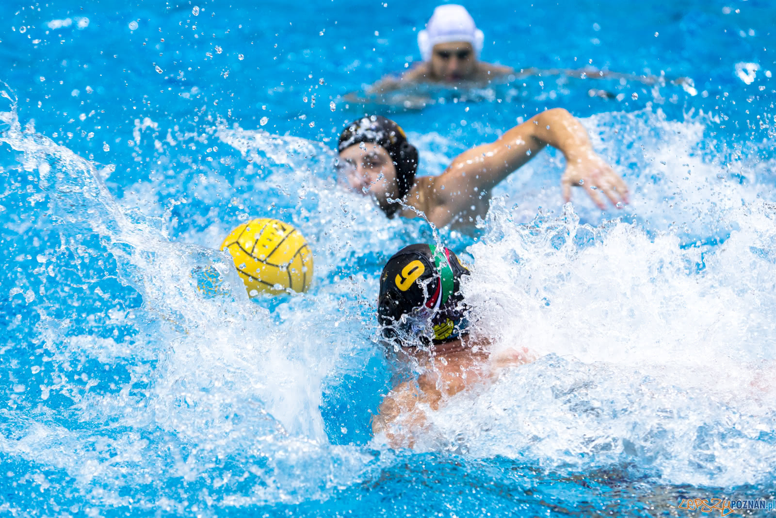 Waterpolo Poznań - Alfa Gorzów Foto: lepszyPOZNAN.pl/Piotr Rychter Waterpolo Poznań - Alfa Gorzów Foto: lepszyPOZNAN.pl/Piotr Rychter