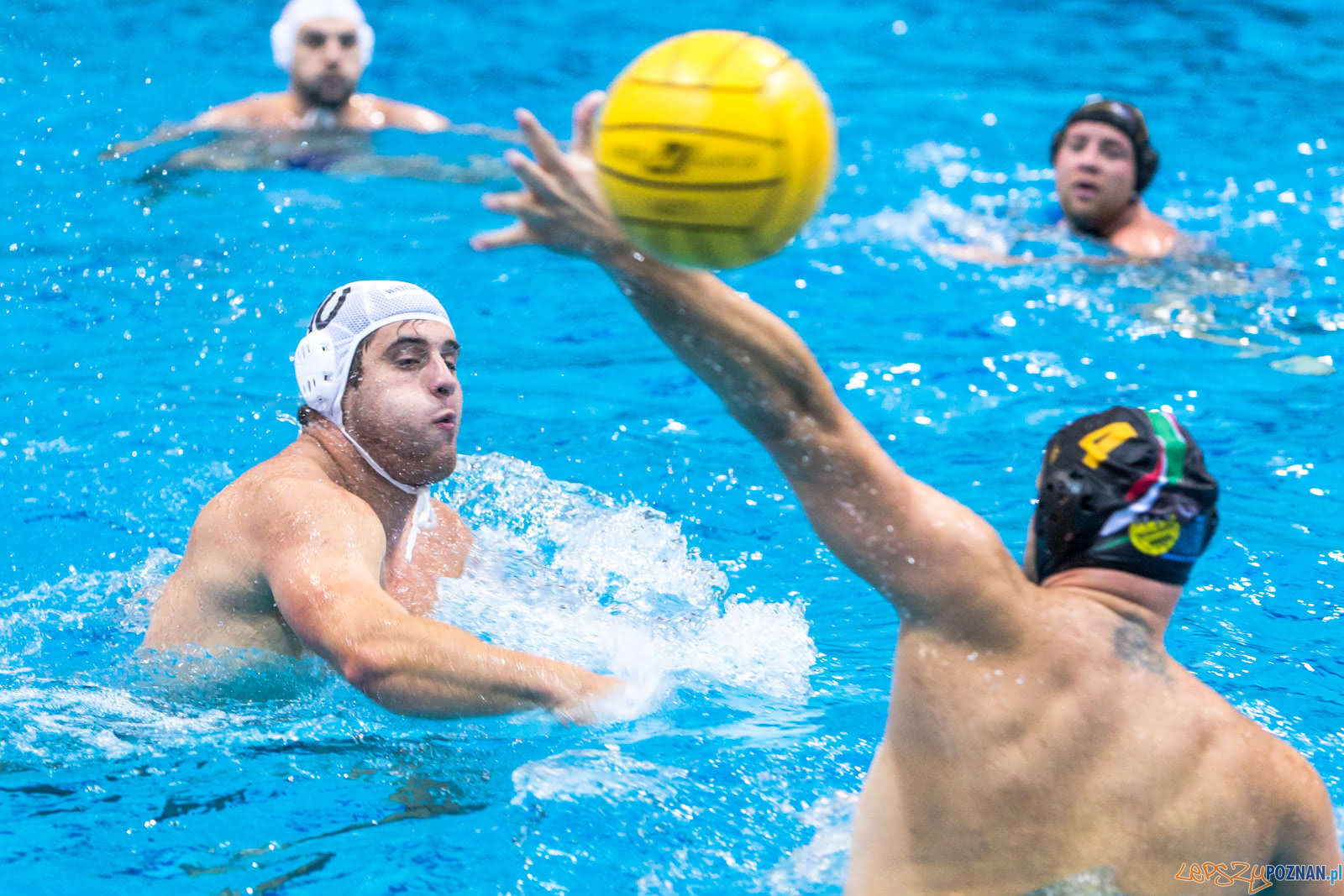Waterpolo Poznań - Alfa Gorzów Foto: lepszyPOZNAN.pl/Piotr Rychter Waterpolo Poznań - Alfa Gorzów Foto: lepszyPOZNAN.pl/Piotr Rychter