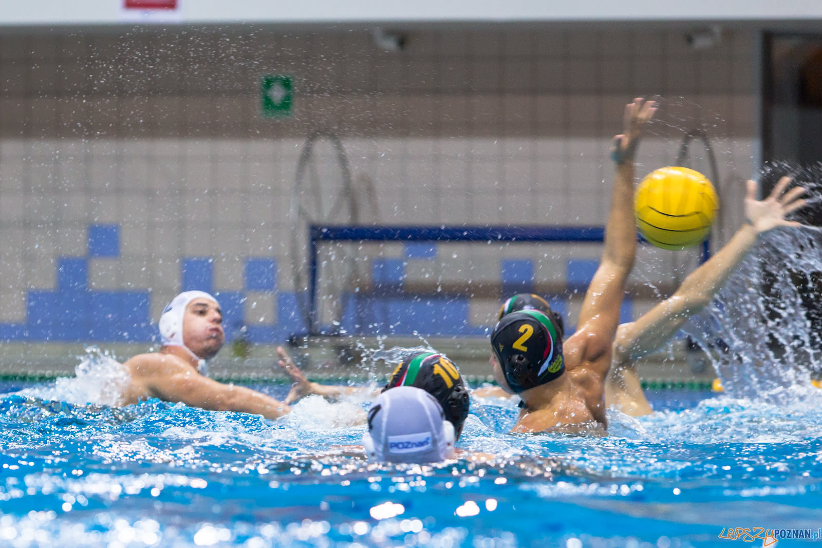 Waterpolo Poznań - Alfa Gorzów Foto: lepszyPOZNAN.pl/Piotr Rychter Waterpolo Poznań - Alfa Gorzów Foto: lepszyPOZNAN.pl/Piotr Rychter