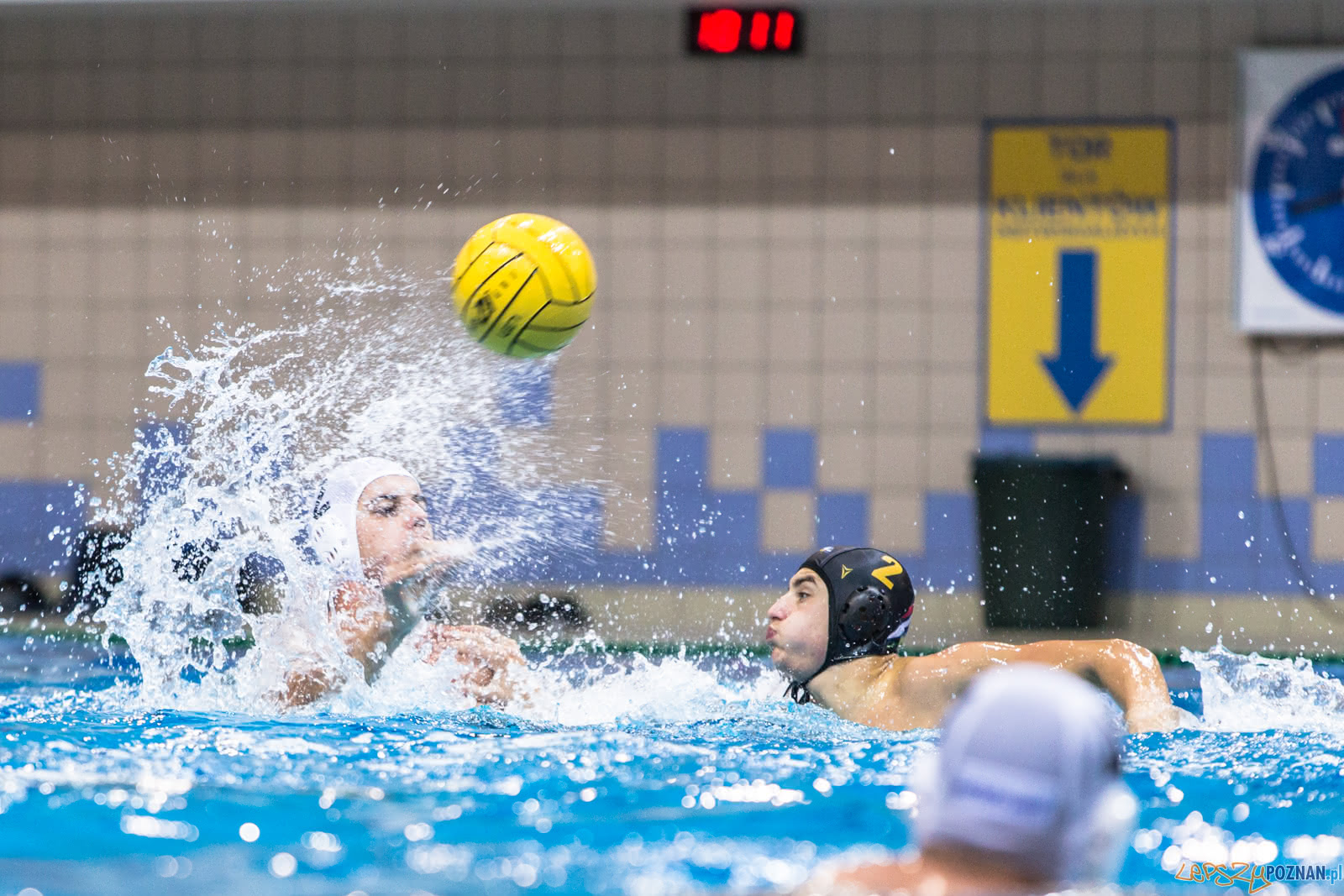 Waterpolo Poznań - Alfa Gorzów Foto: lepszyPOZNAN.pl/Piotr Rychter Waterpolo Poznań - Alfa Gorzów Foto: lepszyPOZNAN.pl/Piotr Rychter