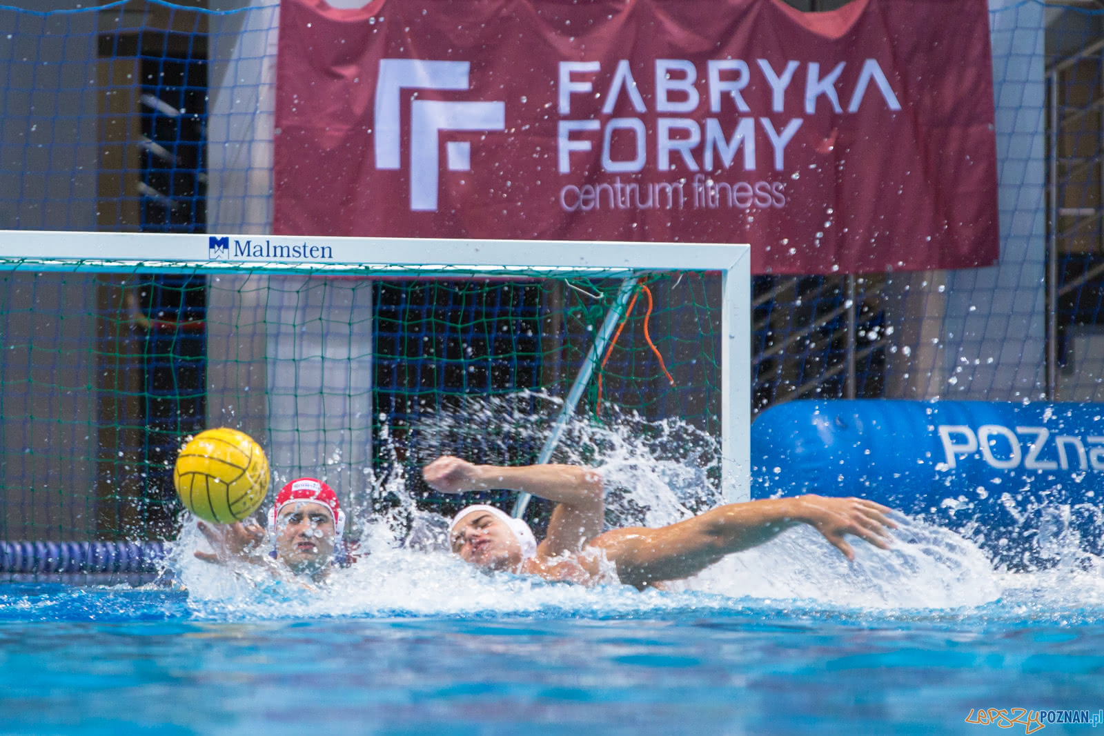 Waterpolo Poznań - Alfa Gorzów Foto: lepszyPOZNAN.pl/Piotr Rychter Waterpolo Poznań - Alfa Gorzów Foto: lepszyPOZNAN.pl/Piotr Rychter