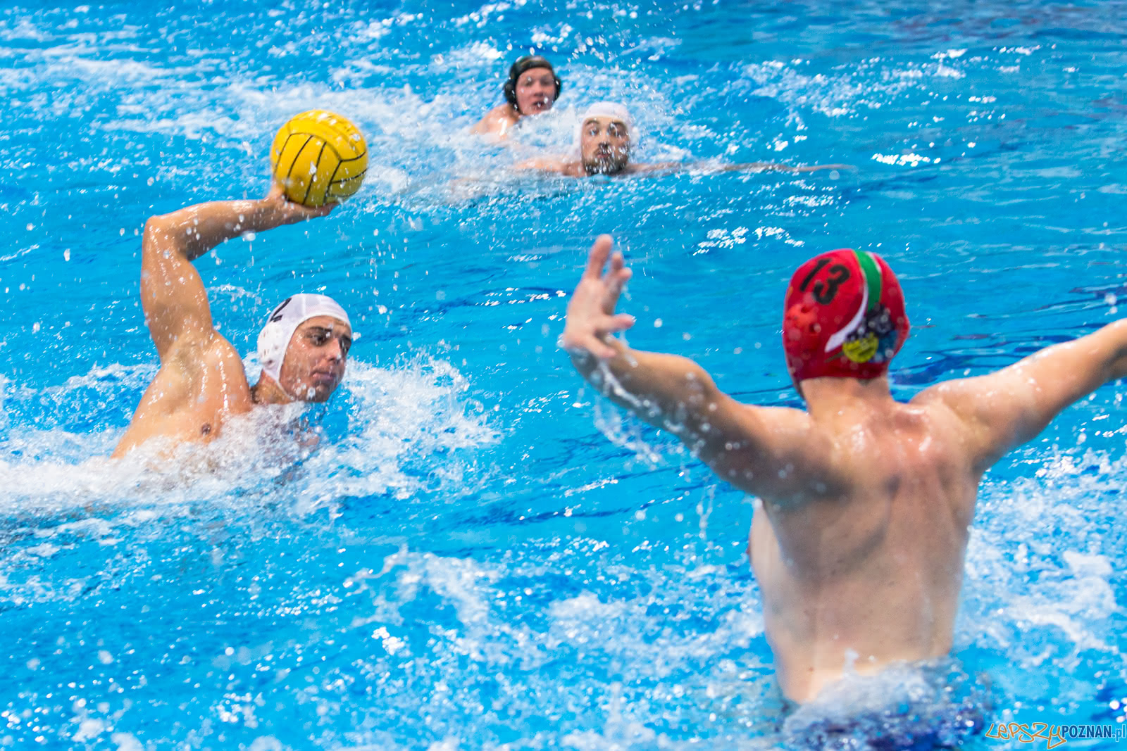 Waterpolo Poznań - Alfa Gorzów Foto: lepszyPOZNAN.pl/Piotr Rychter Waterpolo Poznań - Alfa Gorzów Foto: lepszyPOZNAN.pl/Piotr Rychter