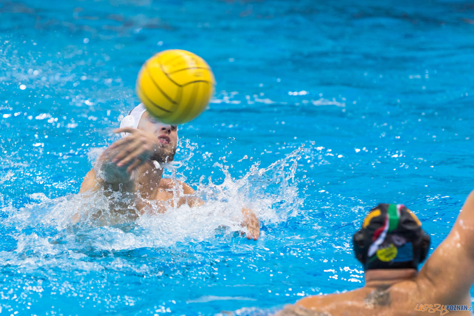 Waterpolo Poznań - Alfa Gorzów Foto: lepszyPOZNAN.pl/Piotr Rychter Waterpolo Poznań - Alfa Gorzów Foto: lepszyPOZNAN.pl/Piotr Rychter