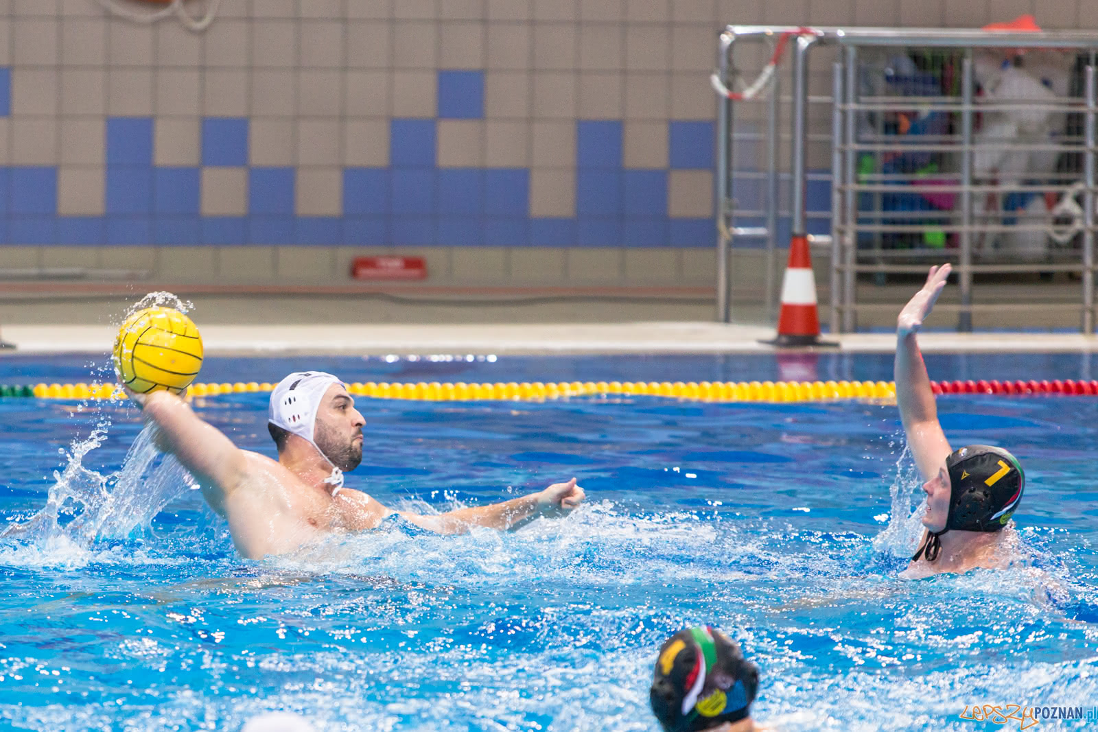Waterpolo Poznań - Alfa Gorzów Foto: lepszyPOZNAN.pl/Piotr Rychter Waterpolo Poznań - Alfa Gorzów Foto: lepszyPOZNAN.pl/Piotr Rychter