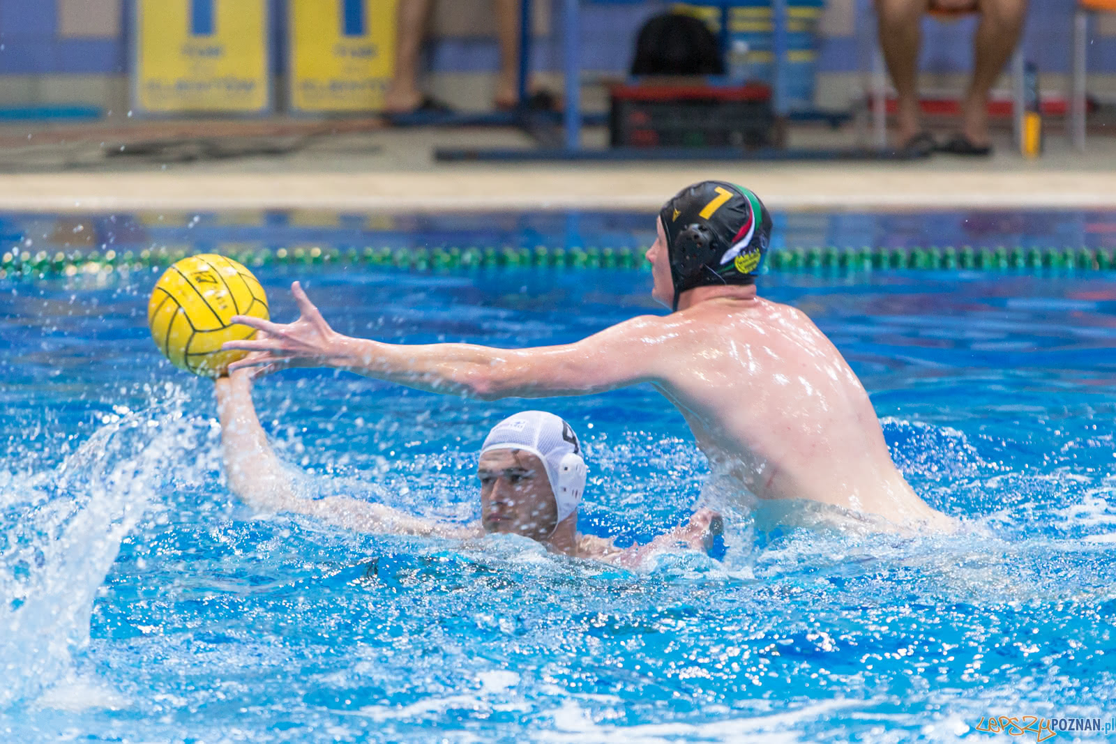Waterpolo Poznań - Alfa Gorzów Foto: lepszyPOZNAN.pl/Piotr Rychter Waterpolo Poznań - Alfa Gorzów Foto: lepszyPOZNAN.pl/Piotr Rychter