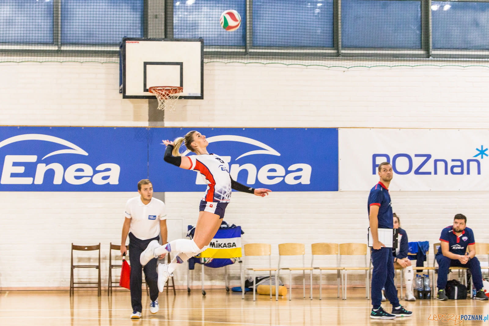 Enea Energetyk Poznań - Uni Opole Foto: lepszyPOZNAN.pl/Piotr Rychter Enea Energetyk Poznań - Uni Opole Foto: lepszyPOZNAN.pl/Piotr Rychter