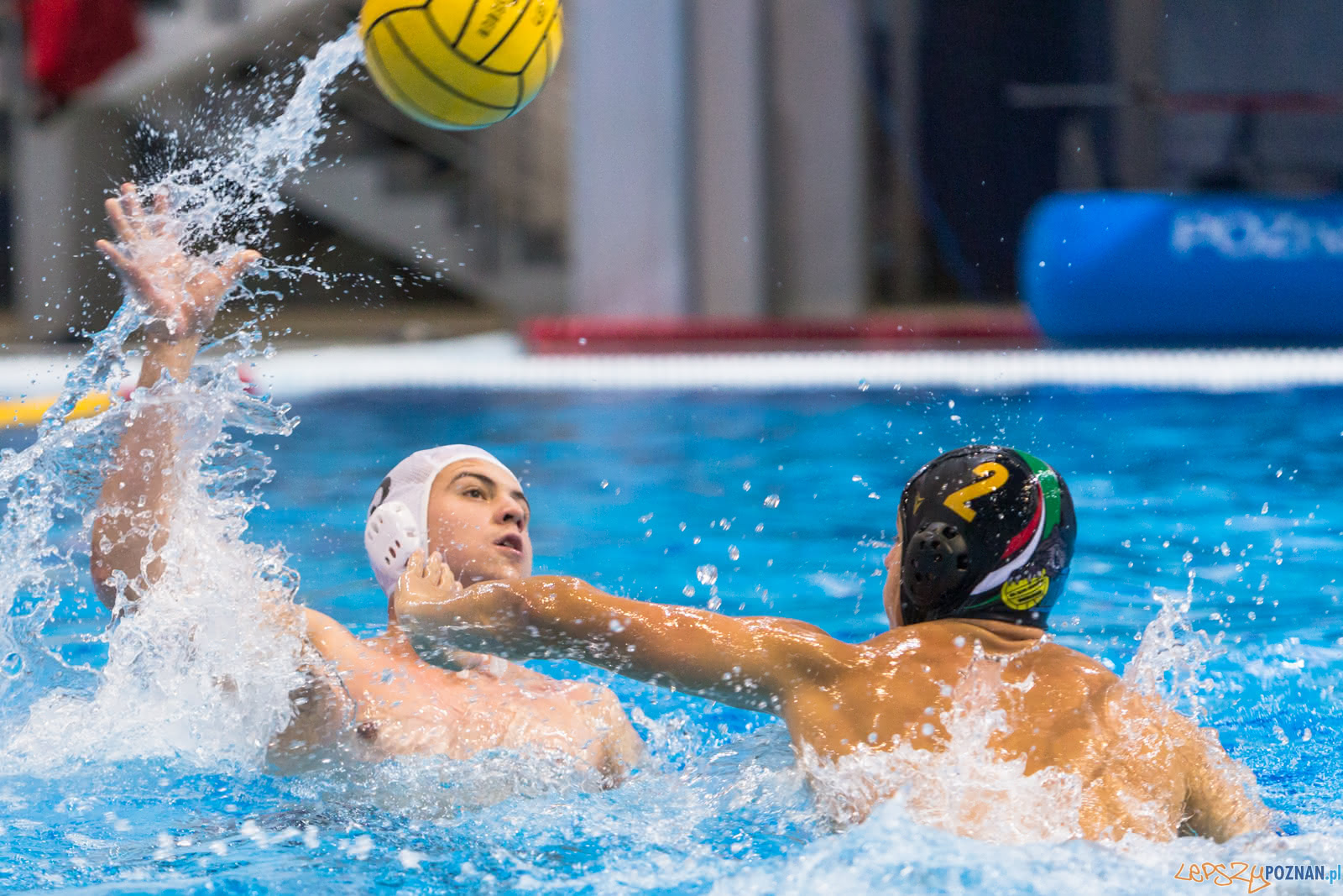 Waterpolo Poznań - Alfa Gorzów Foto: lepszyPOZNAN.pl/Piotr Rychter Waterpolo Poznań - Alfa Gorzów Foto: lepszyPOZNAN.pl/Piotr Rychter