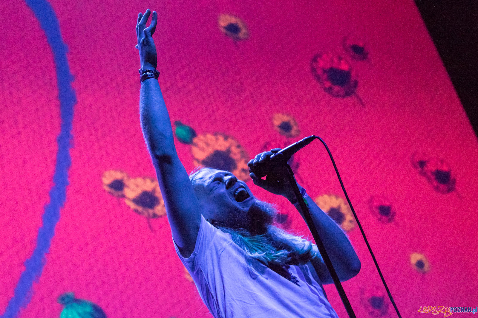 Gramy u Siebie! - premiera płyty RusT "Night Will Fall" + gośc Foto: lepszyPOZNAN.pl / Ewelina Jaśkowiak Gramy u Siebie! - premiera płyty RusT "Night Will Fall" + gośc Foto: lepszyPOZNAN.pl / Ewelina Jaśkowiak