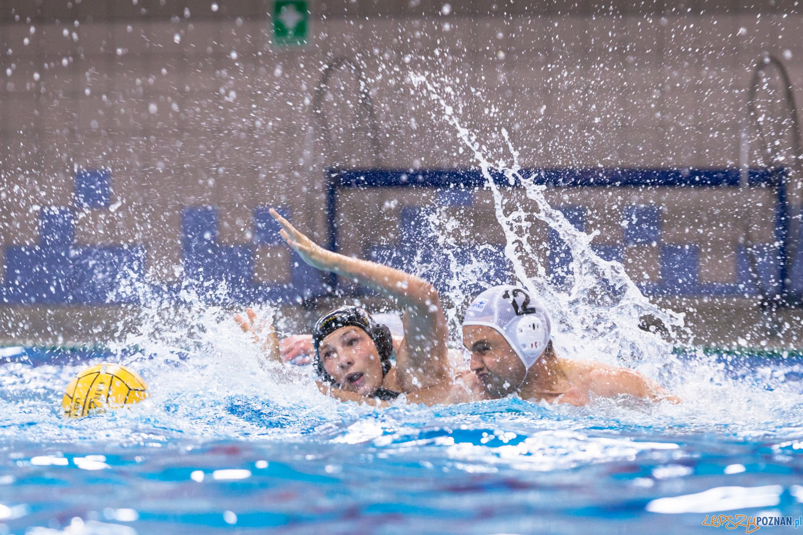 Waterpolo Poznań - Alfa Gorzów Foto: lepszyPOZNAN.pl/Piotr Rychter Waterpolo Poznań - Alfa Gorzów Foto: lepszyPOZNAN.pl/Piotr Rychter
