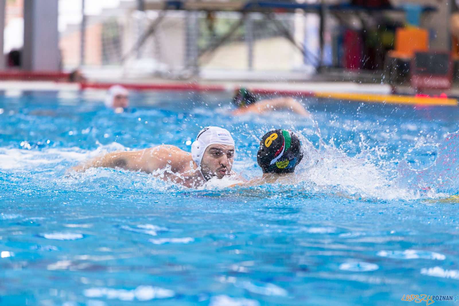 Waterpolo Poznań - Alfa Gorzów Foto: lepszyPOZNAN.pl/Piotr Rychter Waterpolo Poznań - Alfa Gorzów Foto: lepszyPOZNAN.pl/Piotr Rychter
