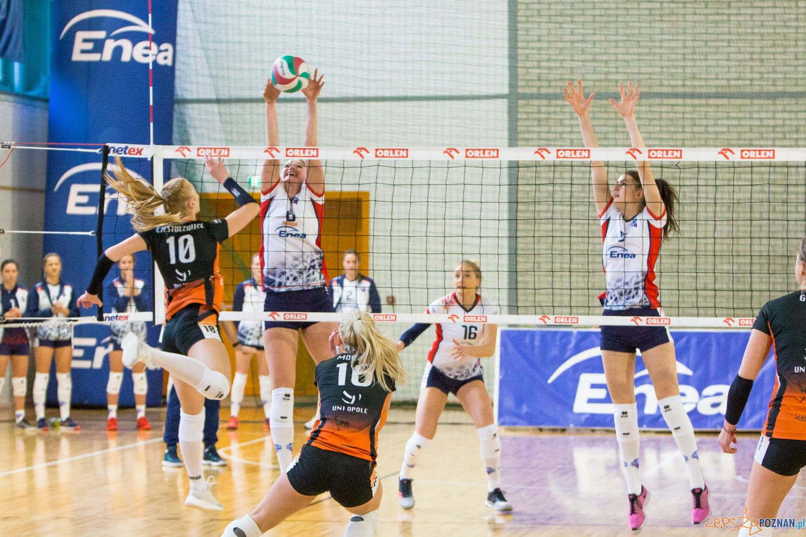 Enea Energetyk Poznań - Uni Opole Foto: lepszyPOZNAN.pl/Piotr Rychter Enea Energetyk Poznań - Uni Opole Foto: lepszyPOZNAN.pl/Piotr Rychter