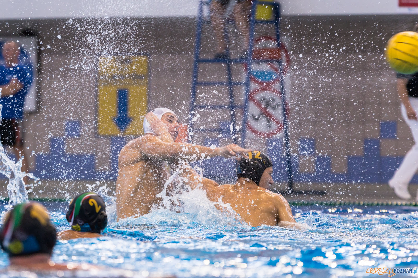Waterpolo Poznań - Alfa Gorzów Foto: lepszyPOZNAN.pl/Piotr Rychter Waterpolo Poznań - Alfa Gorzów Foto: lepszyPOZNAN.pl/Piotr Rychter