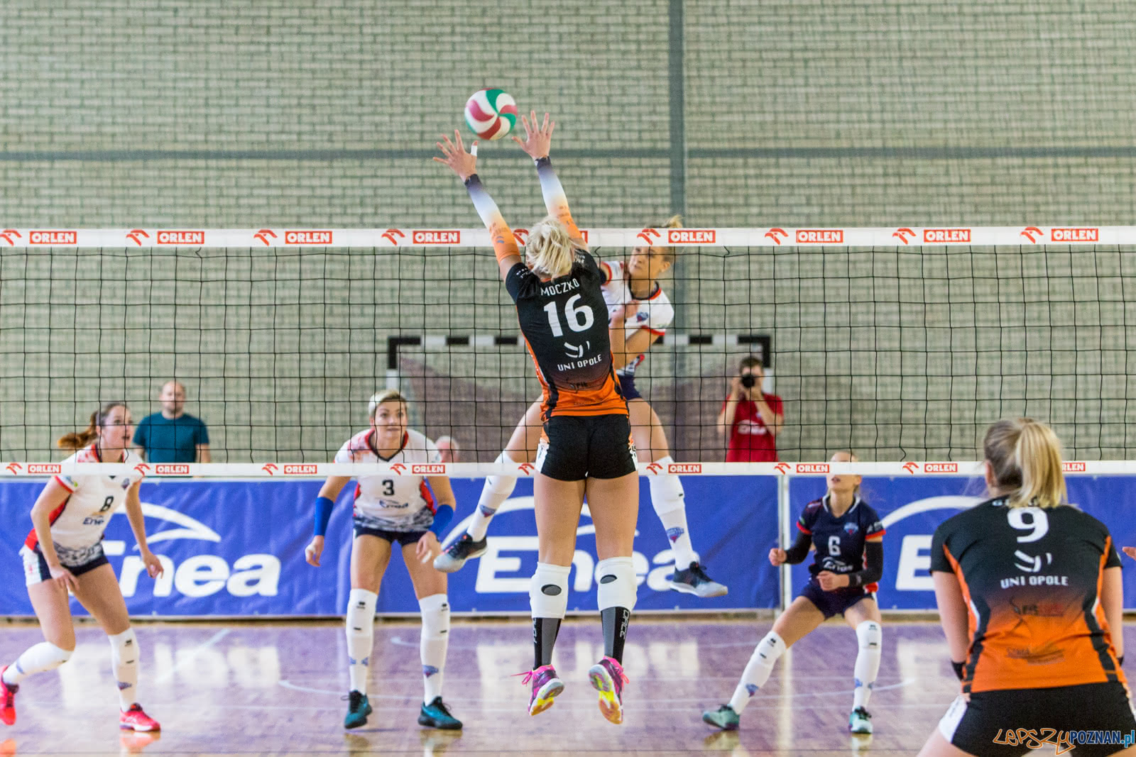 Enea Energetyk Poznań - Uni Opole Foto: lepszyPOZNAN.pl/Piotr Rychter Enea Energetyk Poznań - Uni Opole Foto: lepszyPOZNAN.pl/Piotr Rychter