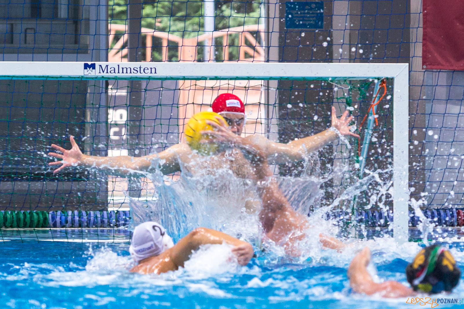 Waterpolo Poznań - Alfa Gorzów Foto: lepszyPOZNAN.pl/Piotr Rychter Waterpolo Poznań - Alfa Gorzów Foto: lepszyPOZNAN.pl/Piotr Rychter