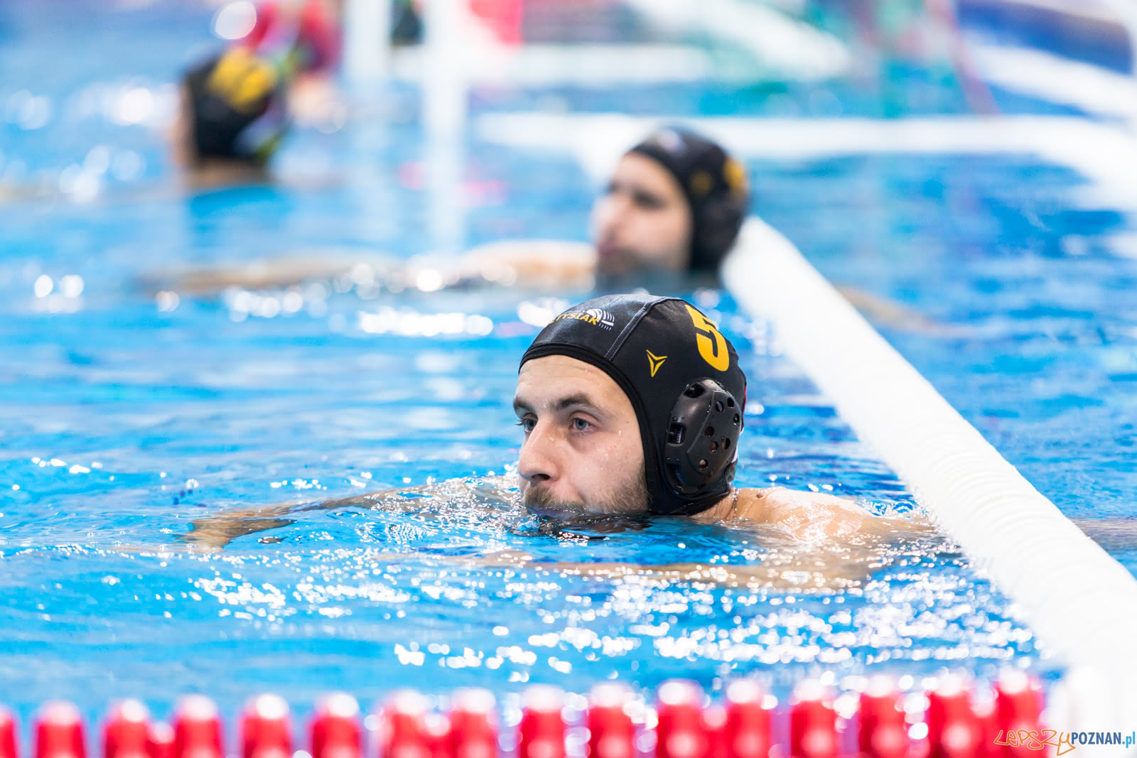 Waterpolo Poznań - Alfa Gorzów Foto: lepszyPOZNAN.pl/Piotr Rychter Waterpolo Poznań - Alfa Gorzów Foto: lepszyPOZNAN.pl/Piotr Rychter
