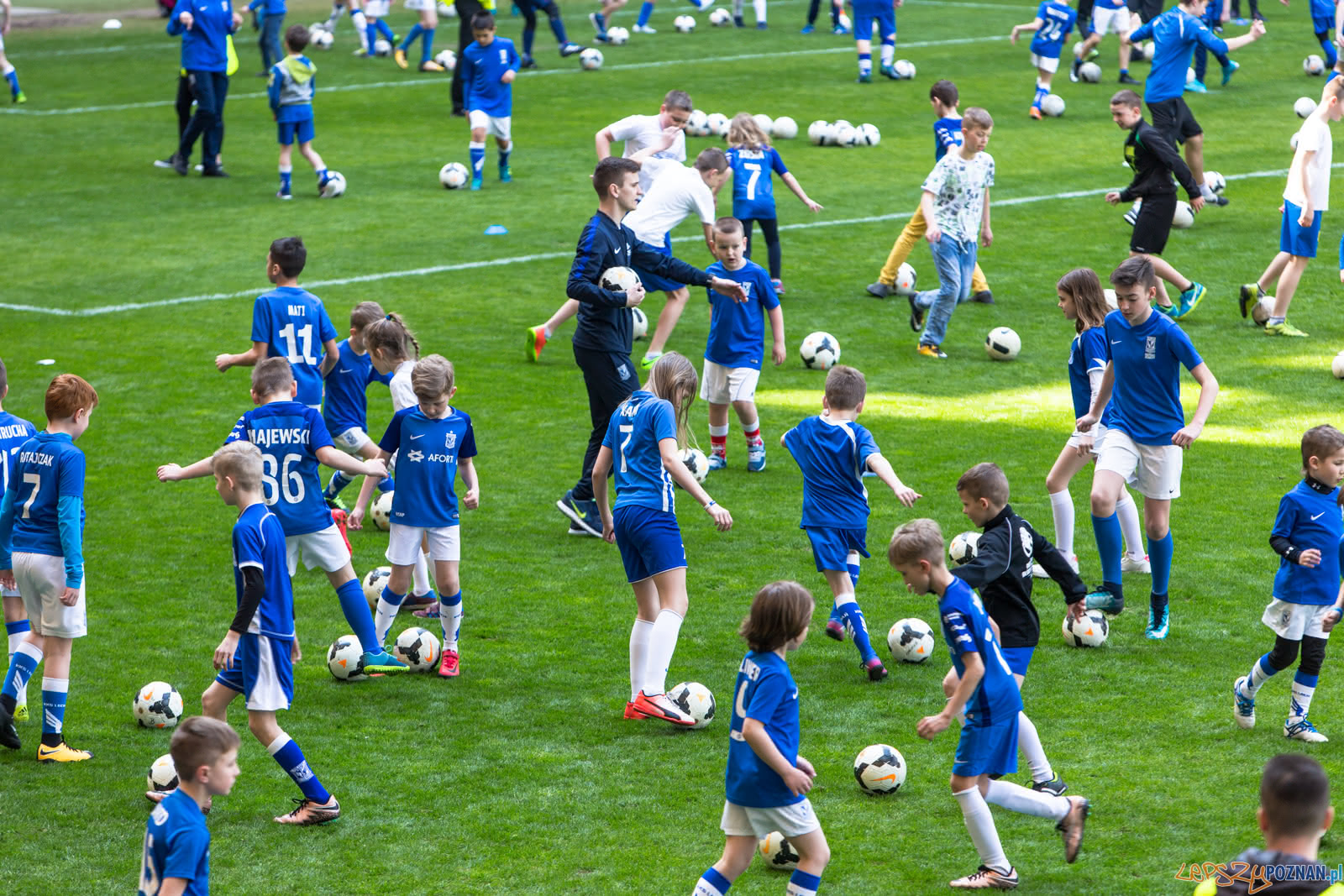 Próba bicia rekordu Guinnessa Foto: lepszyPOZNAN.pl/Piotr Rychter Próba bicia rekordu Guinnessa Foto: lepszyPOZNAN.pl/Piotr Rychter