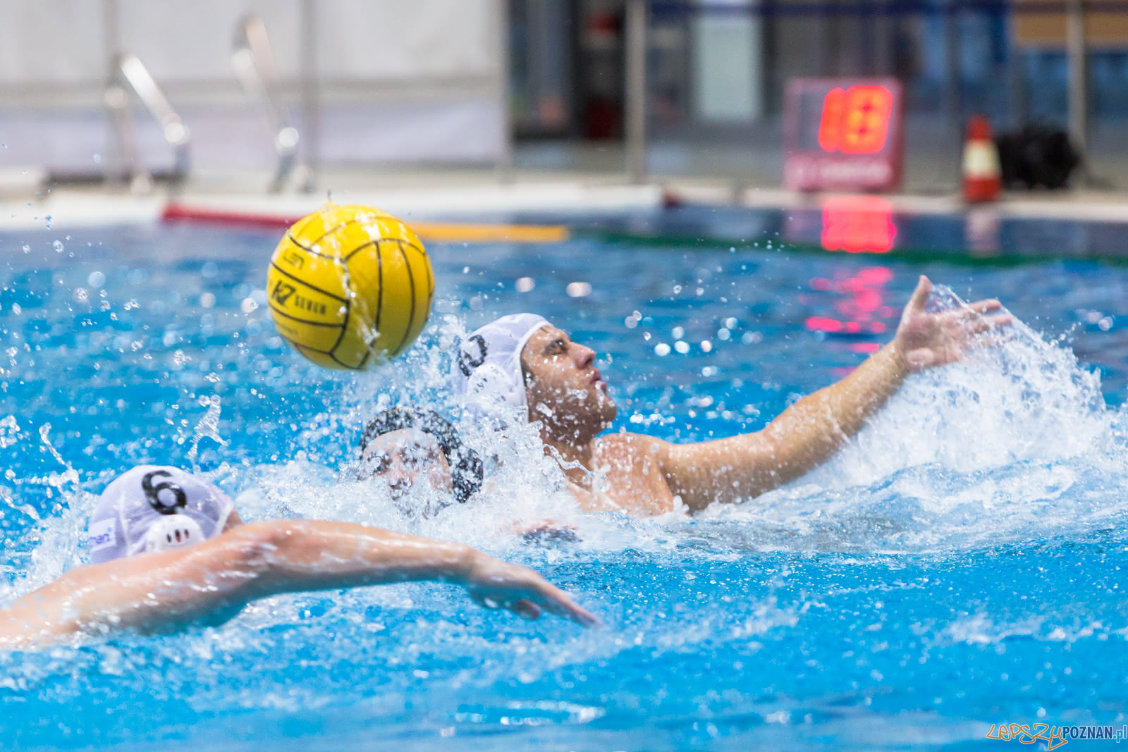 Waterpolo Poznań - Alfa Gorzów Foto: lepszyPOZNAN.pl/Piotr Rychter Waterpolo Poznań - Alfa Gorzów Foto: lepszyPOZNAN.pl/Piotr Rychter