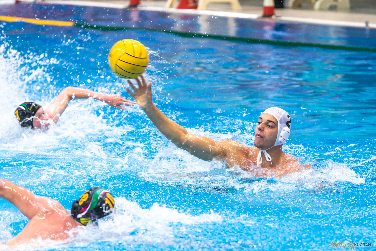 Waterpolo Poznań - Alfa Gorzów Foto: lepszyPOZNAN.pl/Piotr Rychter Waterpolo Poznań - Alfa Gorzów Foto: lepszyPOZNAN.pl/Piotr Rychter