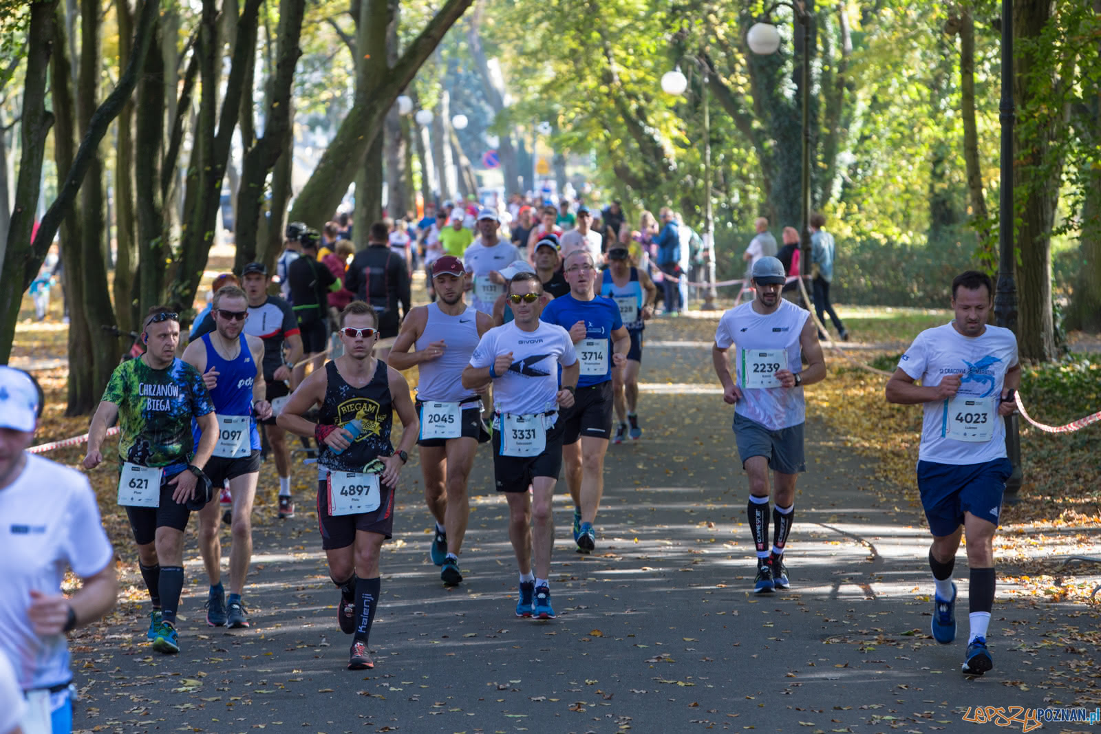 19. PKO Poznań Maraton Foto: lepszyPOZNAN.pl/Piotr Rychter 19. PKO Poznań Maraton Foto: lepszyPOZNAN.pl/Piotr Rychter