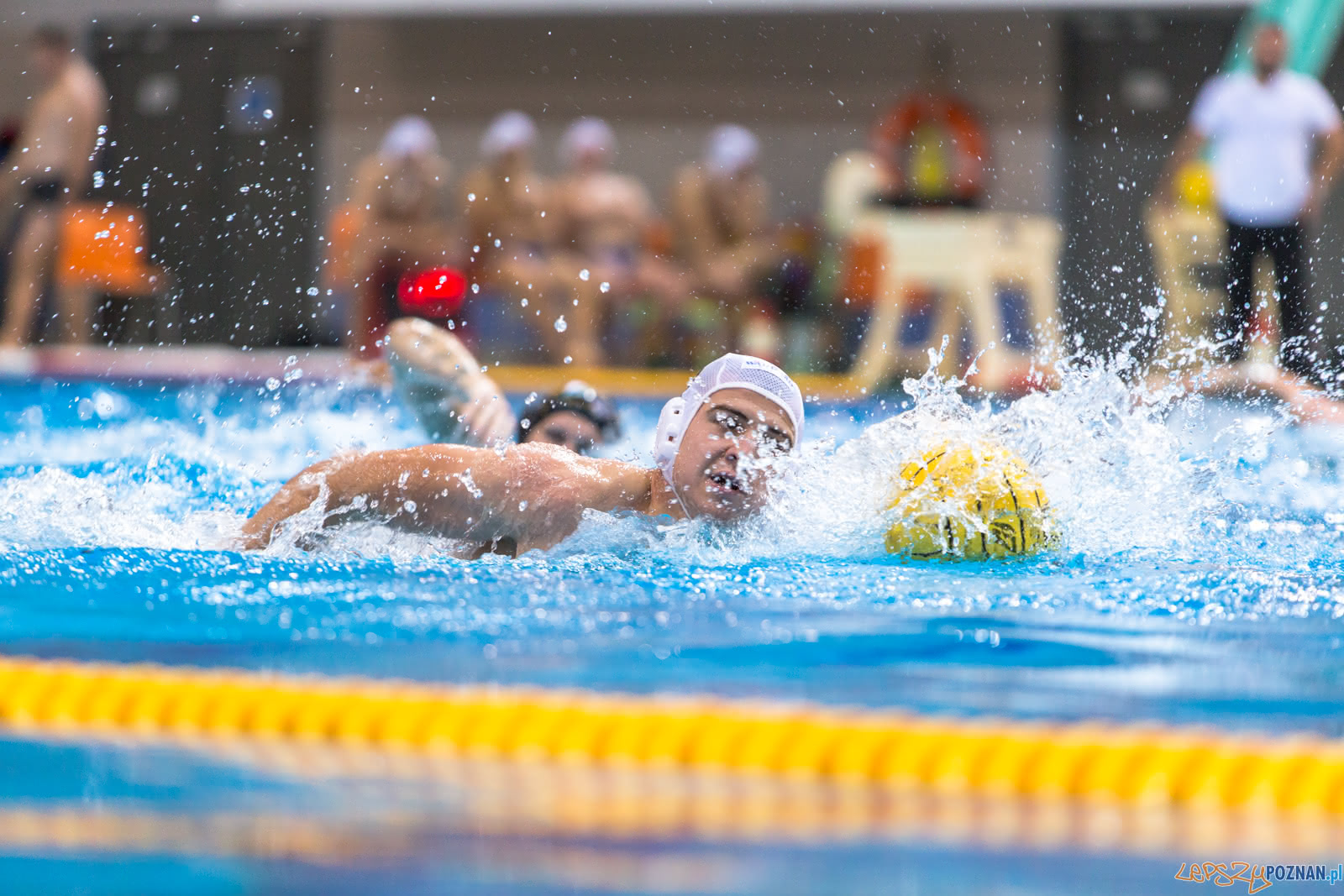 Waterpolo Poznań - Alfa Gorzów Foto: lepszyPOZNAN.pl/Piotr Rychter Waterpolo Poznań - Alfa Gorzów Foto: lepszyPOZNAN.pl/Piotr Rychter