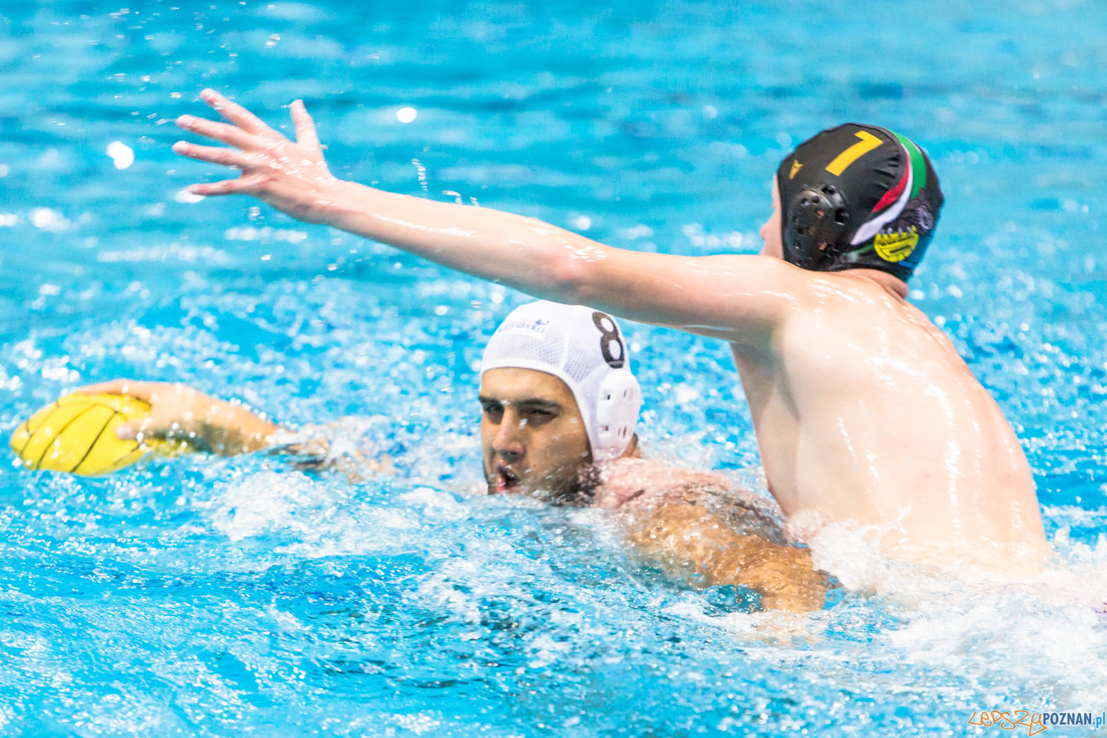 Waterpolo Poznań - Alfa Gorzów Foto: lepszyPOZNAN.pl/Piotr Rychter Waterpolo Poznań - Alfa Gorzów Foto: lepszyPOZNAN.pl/Piotr Rychter