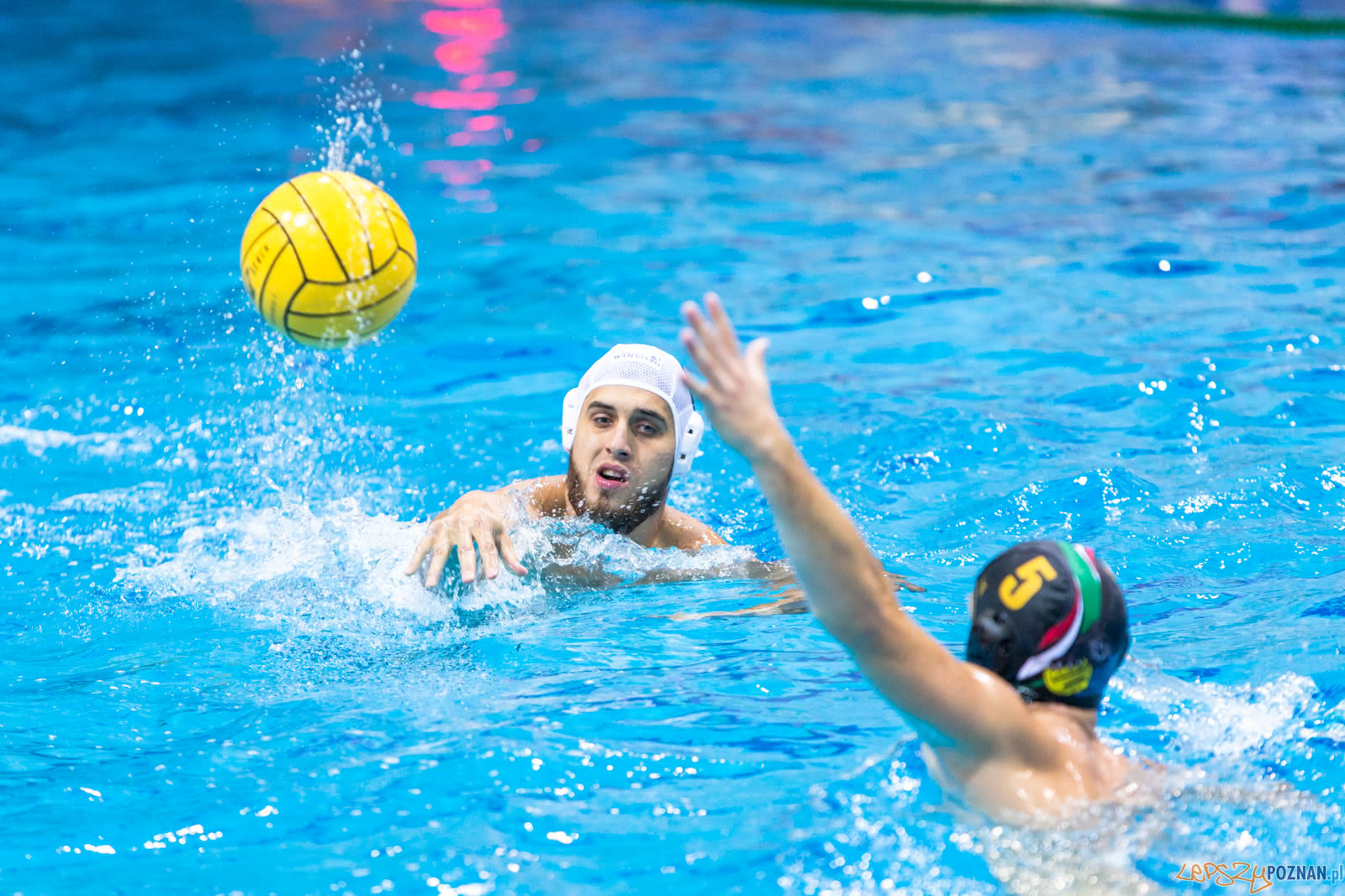 Waterpolo Poznań - Alfa Gorzów Foto: lepszyPOZNAN.pl/Piotr Rychter Waterpolo Poznań - Alfa Gorzów Foto: lepszyPOZNAN.pl/Piotr Rychter