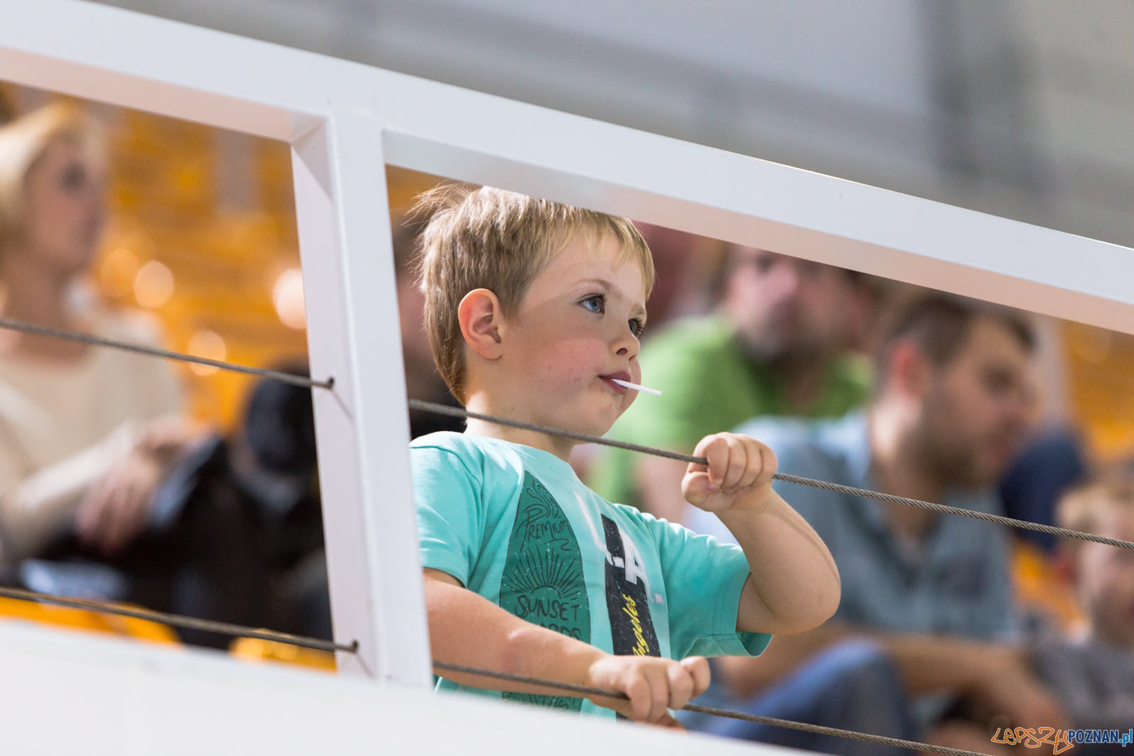 Waterpolo Poznań - Alfa Gorzów Foto: lepszyPOZNAN.pl/Piotr Rychter Waterpolo Poznań - Alfa Gorzów Foto: lepszyPOZNAN.pl/Piotr Rychter