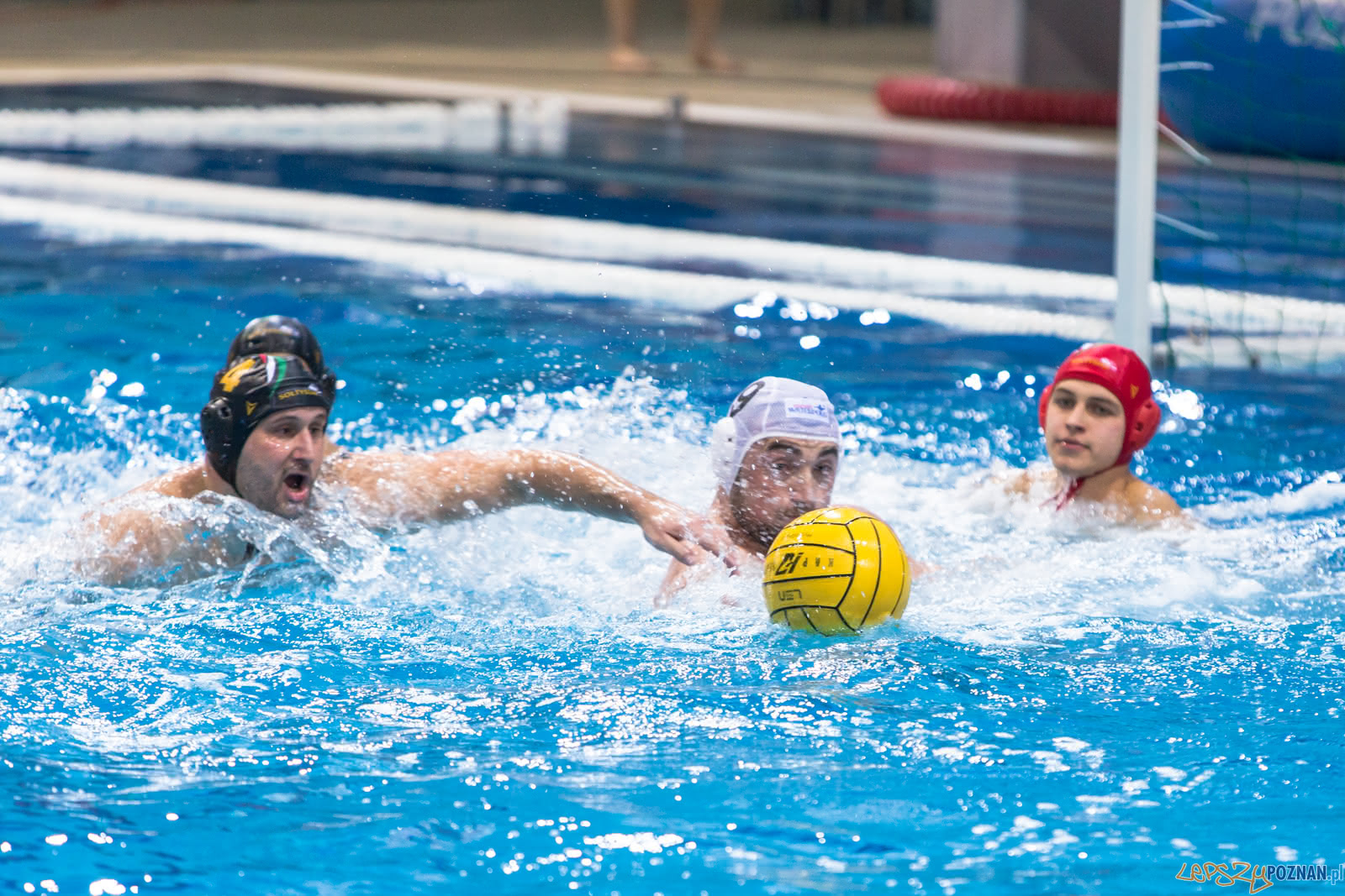 Waterpolo Poznań - Alfa Gorzów Foto: lepszyPOZNAN.pl/Piotr Rychter Waterpolo Poznań - Alfa Gorzów Foto: lepszyPOZNAN.pl/Piotr Rychter