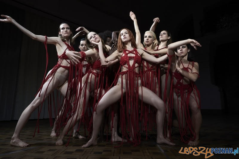 Suspiria  Foto: Courtesy of Amazon Studios