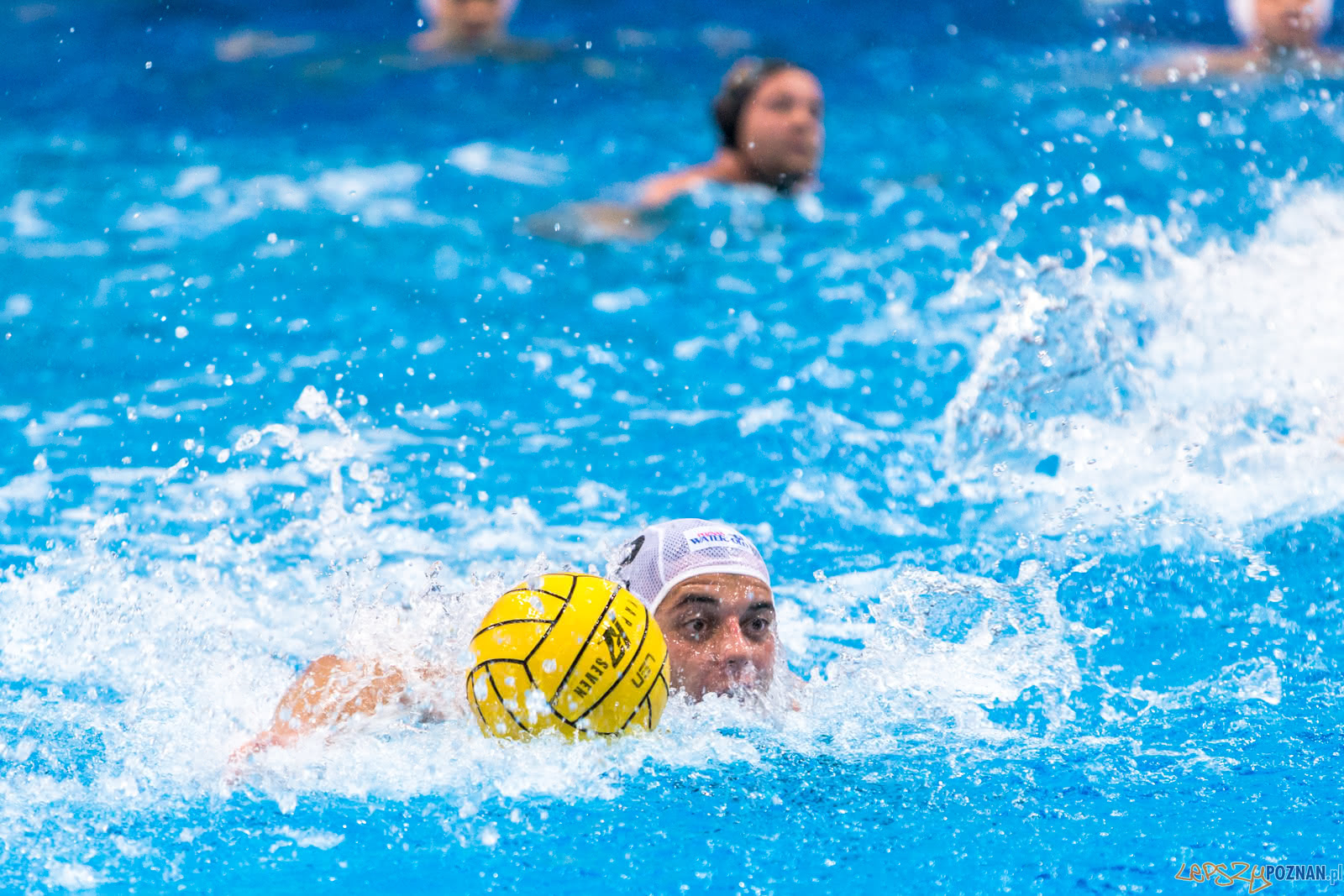 Waterpolo Poznań - Alfa Gorzów Foto: lepszyPOZNAN.pl/Piotr Rychter Waterpolo Poznań - Alfa Gorzów Foto: lepszyPOZNAN.pl/Piotr Rychter