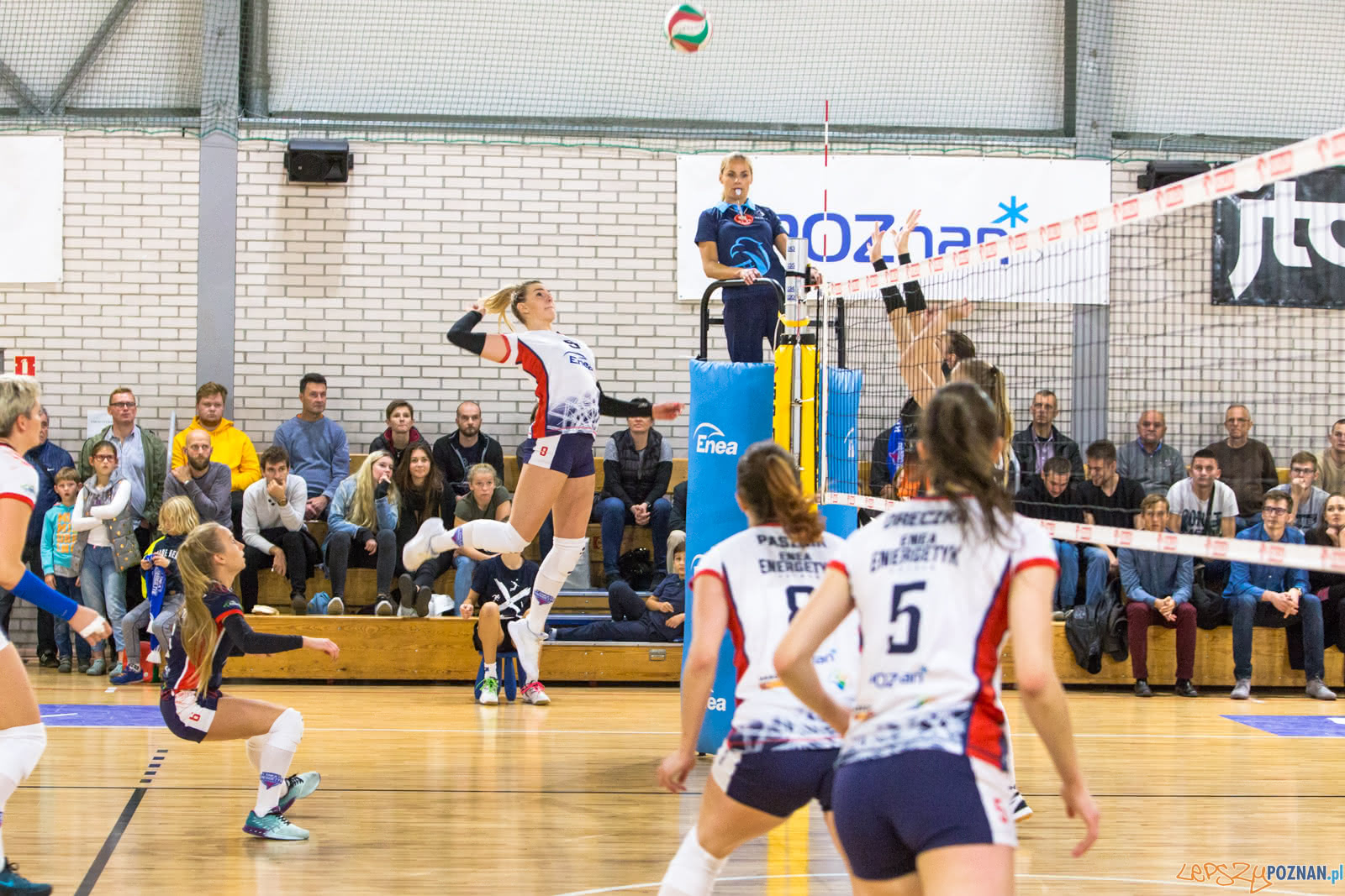 Enea Energetyk Poznań - Uni Opole Foto: lepszyPOZNAN.pl/Piotr Rychter Enea Energetyk Poznań - Uni Opole Foto: lepszyPOZNAN.pl/Piotr Rychter