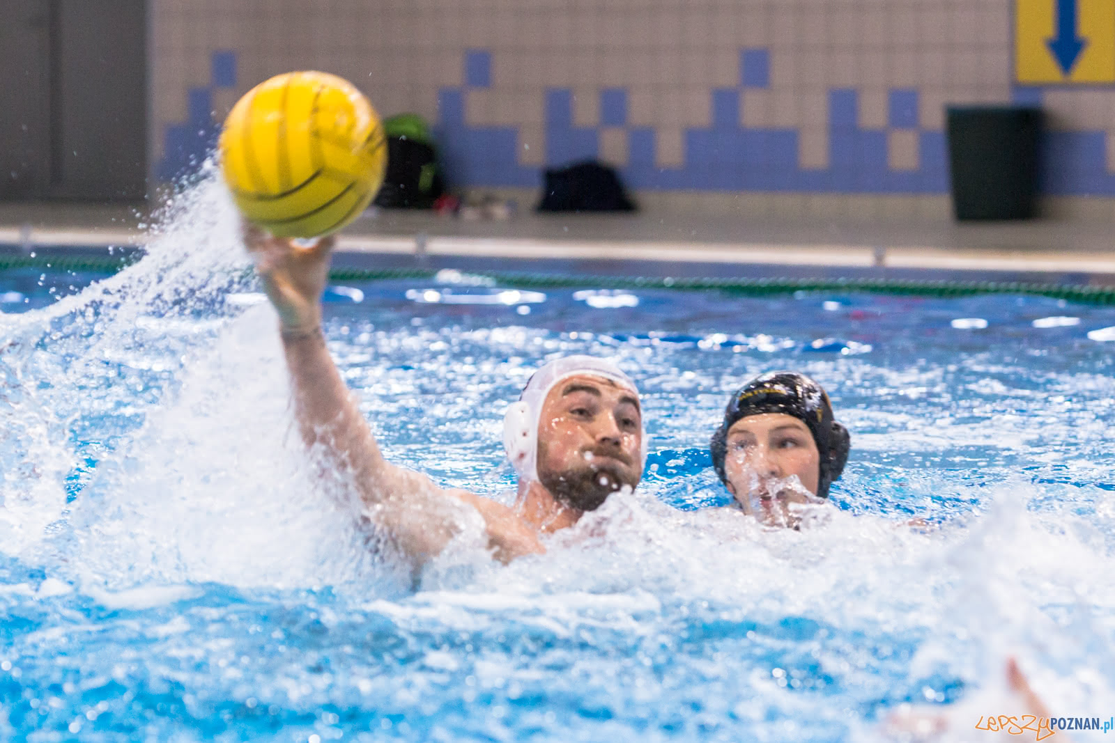 Waterpolo Poznań - Alfa Gorzów Foto: lepszyPOZNAN.pl/Piotr Rychter Waterpolo Poznań - Alfa Gorzów Foto: lepszyPOZNAN.pl/Piotr Rychter