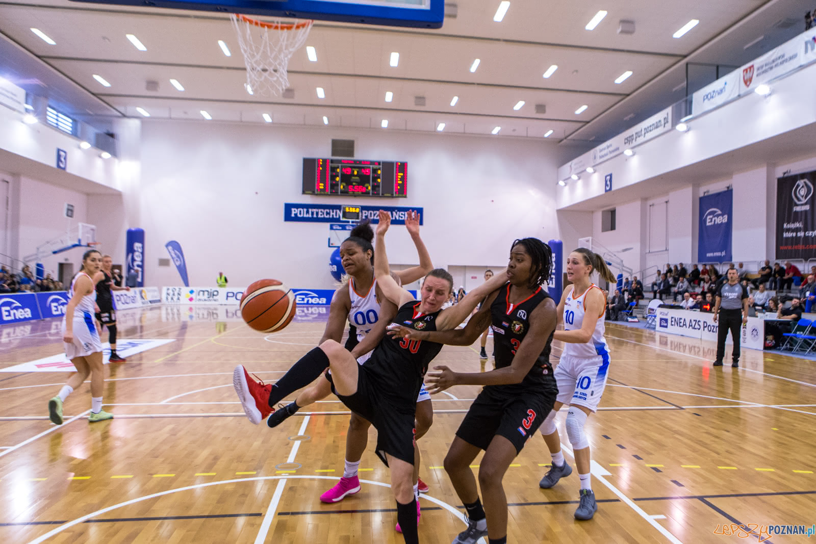 Enea AZS Poznań – Widzew Toruń 81:70 - Poznań 26.10.2018 r. Foto: LepszyPOZNAN.pl / Paweł Rychter Enea AZS Poznań – Widzew Toruń 81:70 - Poznań 26.10.2018 r. Foto: LepszyPOZNAN.pl / Paweł Rychter