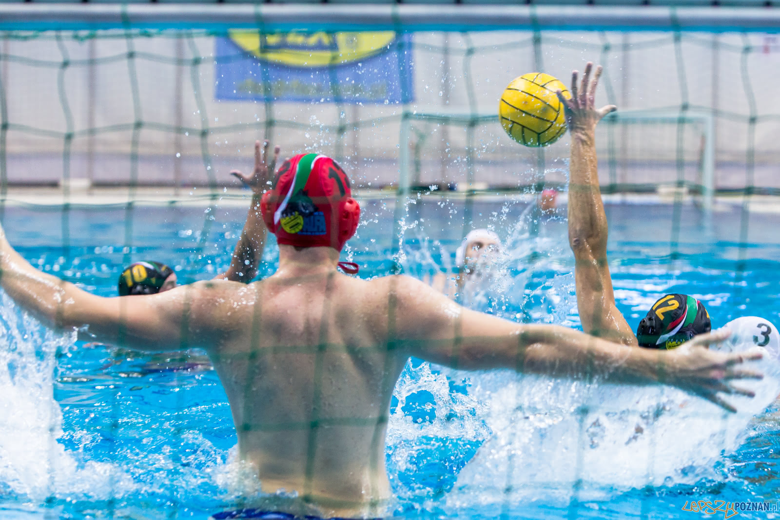 Waterpolo Poznań - Alfa Gorzów Foto: lepszyPOZNAN.pl/Piotr Rychter Waterpolo Poznań - Alfa Gorzów Foto: lepszyPOZNAN.pl/Piotr Rychter