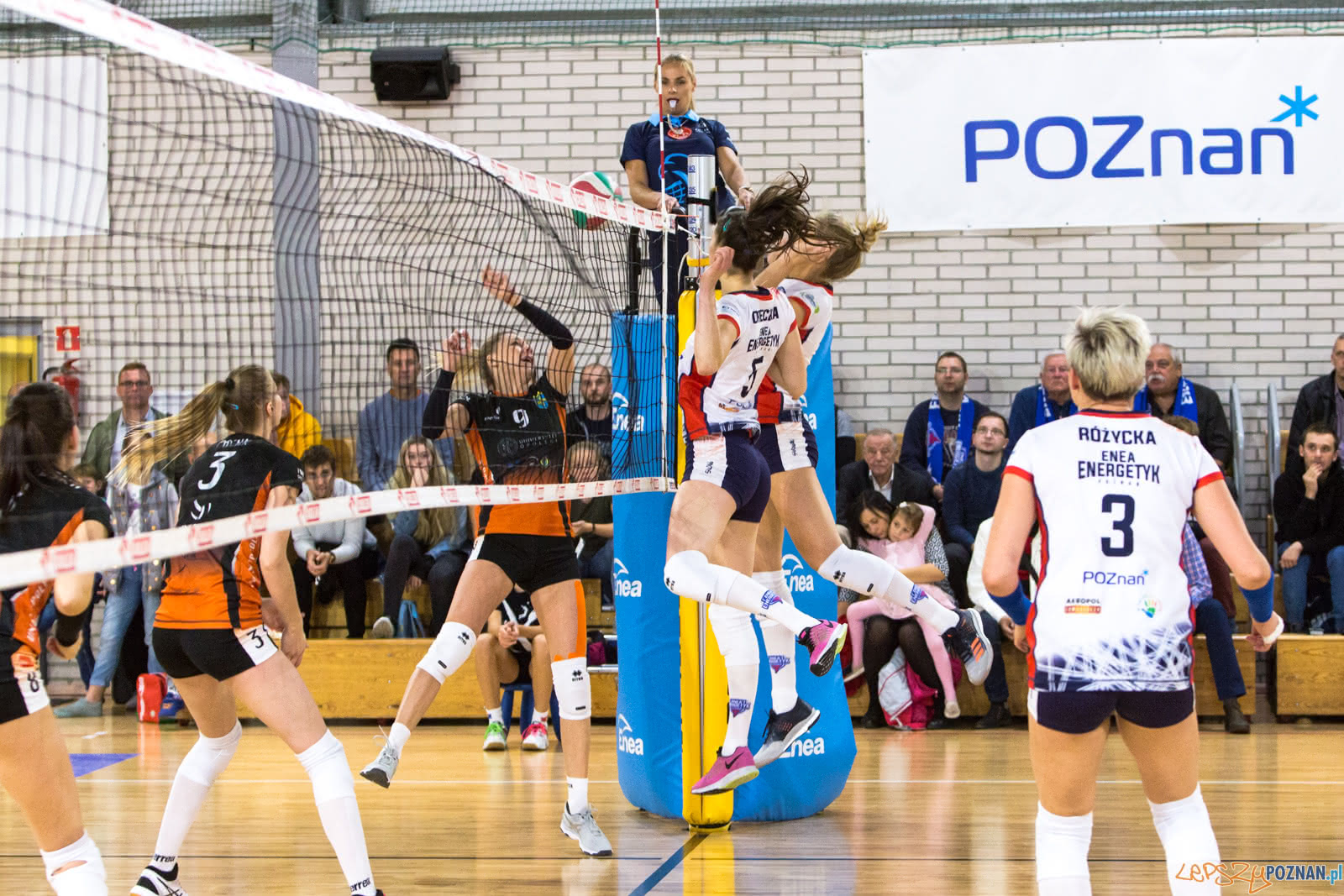 Enea Energetyk Poznań - Uni Opole Foto: lepszyPOZNAN.pl/Piotr Rychter Enea Energetyk Poznań - Uni Opole Foto: lepszyPOZNAN.pl/Piotr Rychter