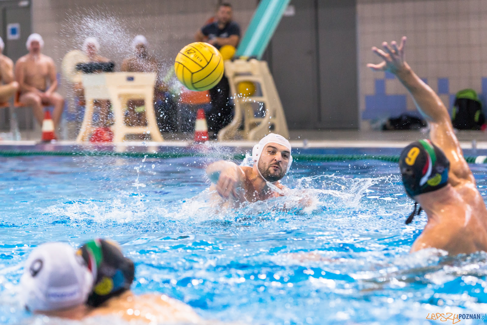 Waterpolo Poznań - Alfa Gorzów Foto: lepszyPOZNAN.pl/Piotr Rychter Waterpolo Poznań - Alfa Gorzów Foto: lepszyPOZNAN.pl/Piotr Rychter