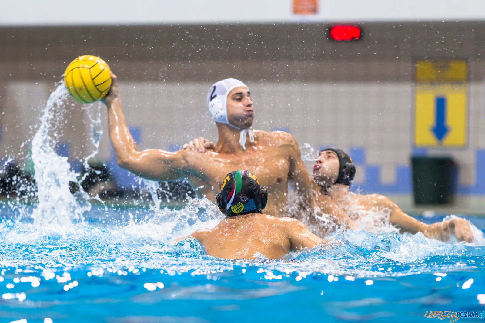 Waterpolo Poznań - Alfa Gorzów Foto: lepszyPOZNAN.pl/Piotr Rychter Waterpolo Poznań - Alfa Gorzów Foto: lepszyPOZNAN.pl/Piotr Rychter