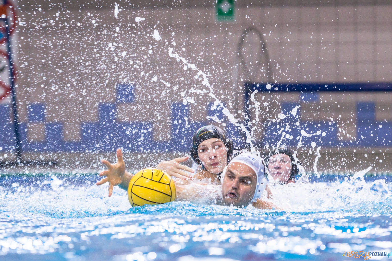 Waterpolo Poznań - Alfa Gorzów  Foto: lepszyPOZNAN.pl/Piotr Rychter