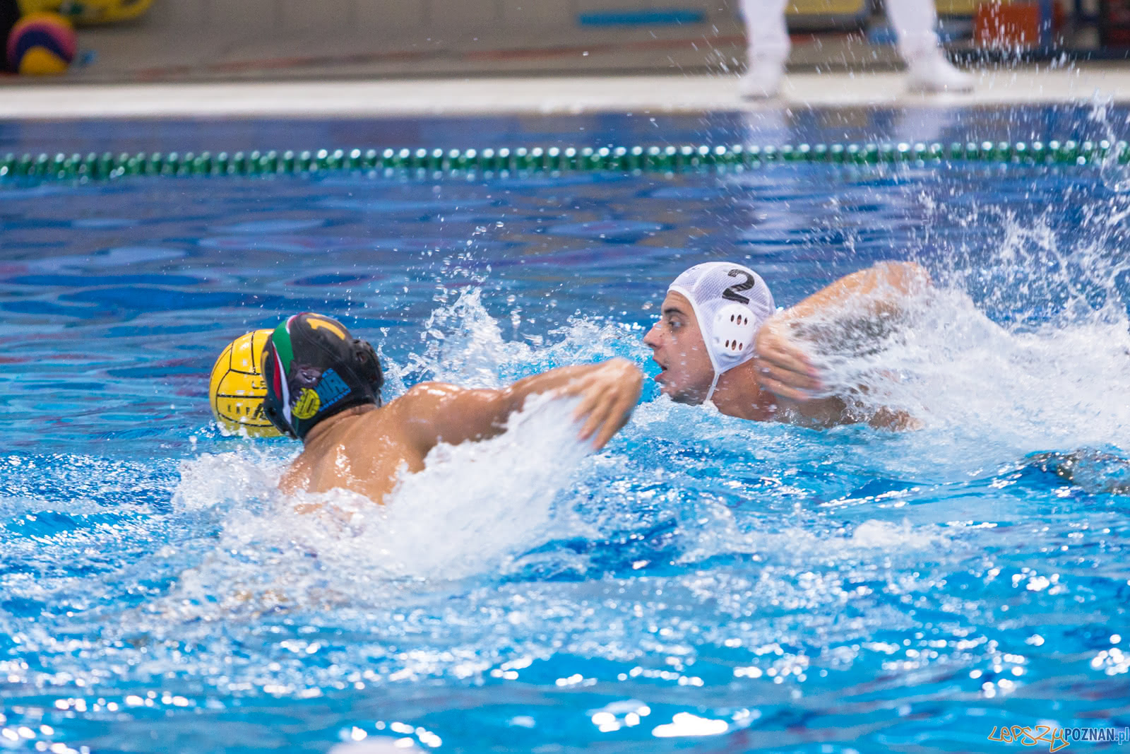 Waterpolo Poznań - Alfa Gorzów Foto: lepszyPOZNAN.pl/Piotr Rychter Waterpolo Poznań - Alfa Gorzów Foto: lepszyPOZNAN.pl/Piotr Rychter