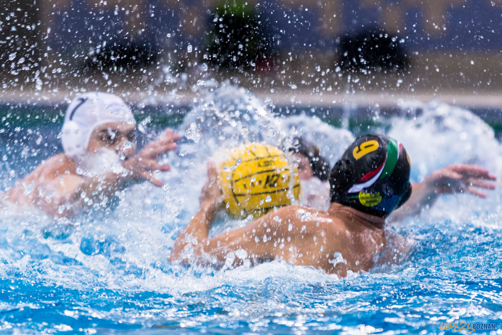 Waterpolo Poznań - Alfa Gorzów Foto: lepszyPOZNAN.pl/Piotr Rychter Waterpolo Poznań - Alfa Gorzów Foto: lepszyPOZNAN.pl/Piotr Rychter